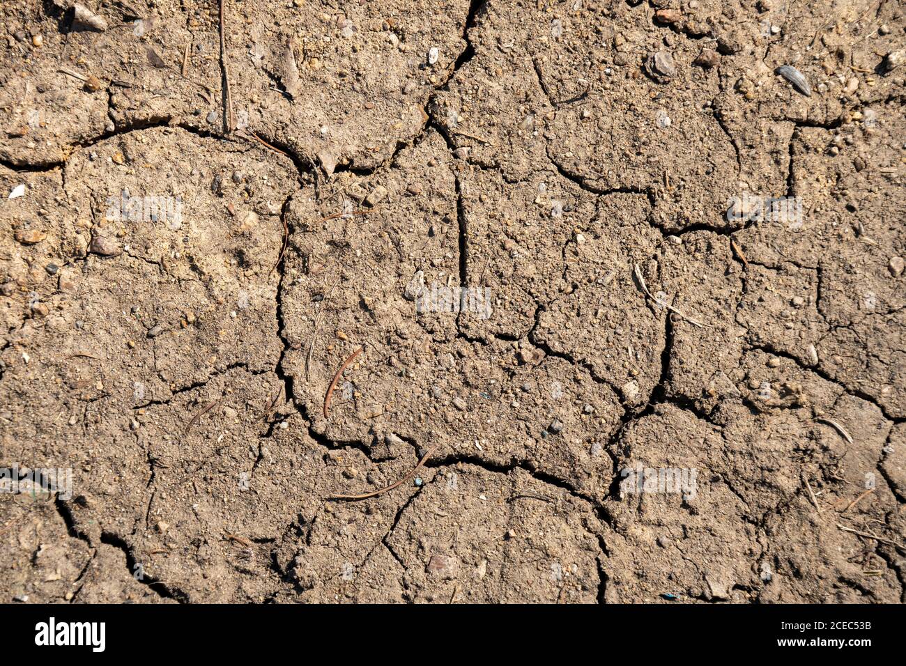 Natürliche Textur Hintergrund geknackt Boden sonniges Wetter im Freien Stockfoto