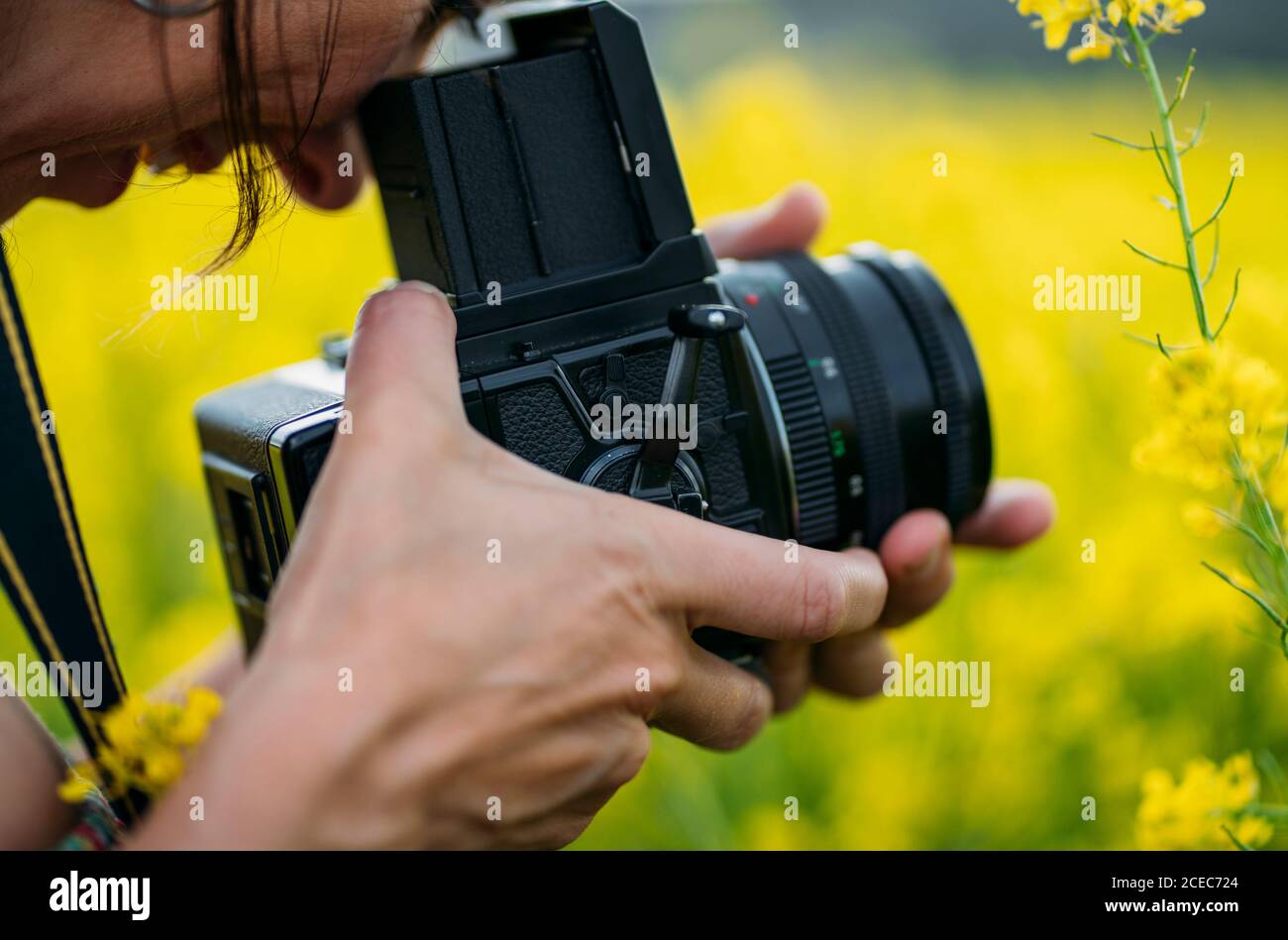 Frau mit Retro-Kamera macht Foto in der Natur mit gelben Blumen aus der Nähe Stockfoto