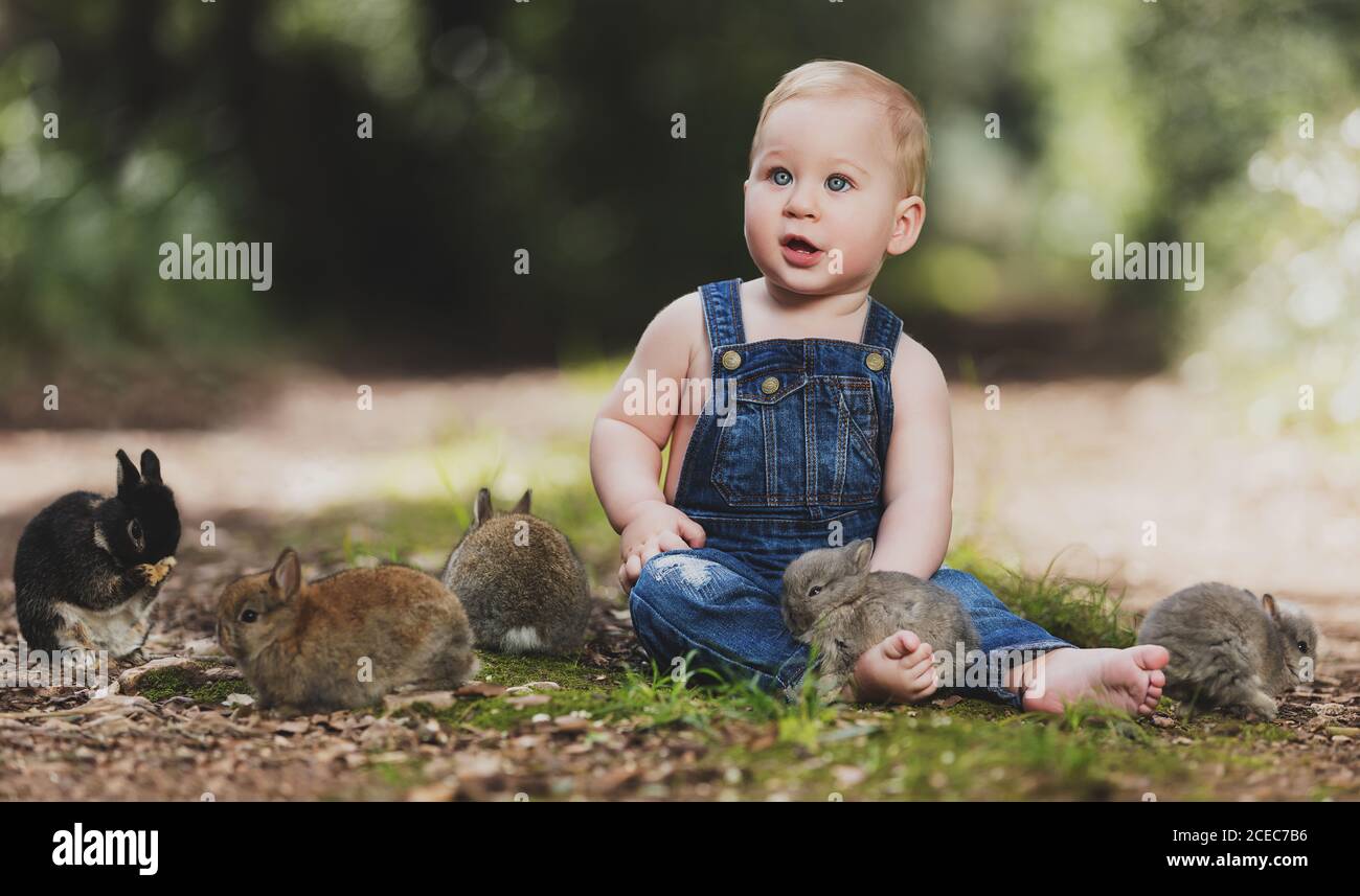 Netter Junge in Denim-Kleidung, der mit kleinen Kaninchen auf dem Boden im sonnigen Park sitzt. Stockfoto