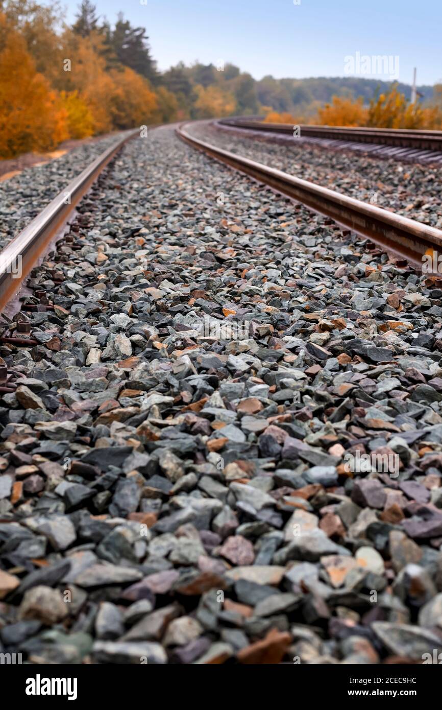 Nahaufnahme von Steinen auf Eisenbahngleisen, die durch den Wald führen Stockfoto