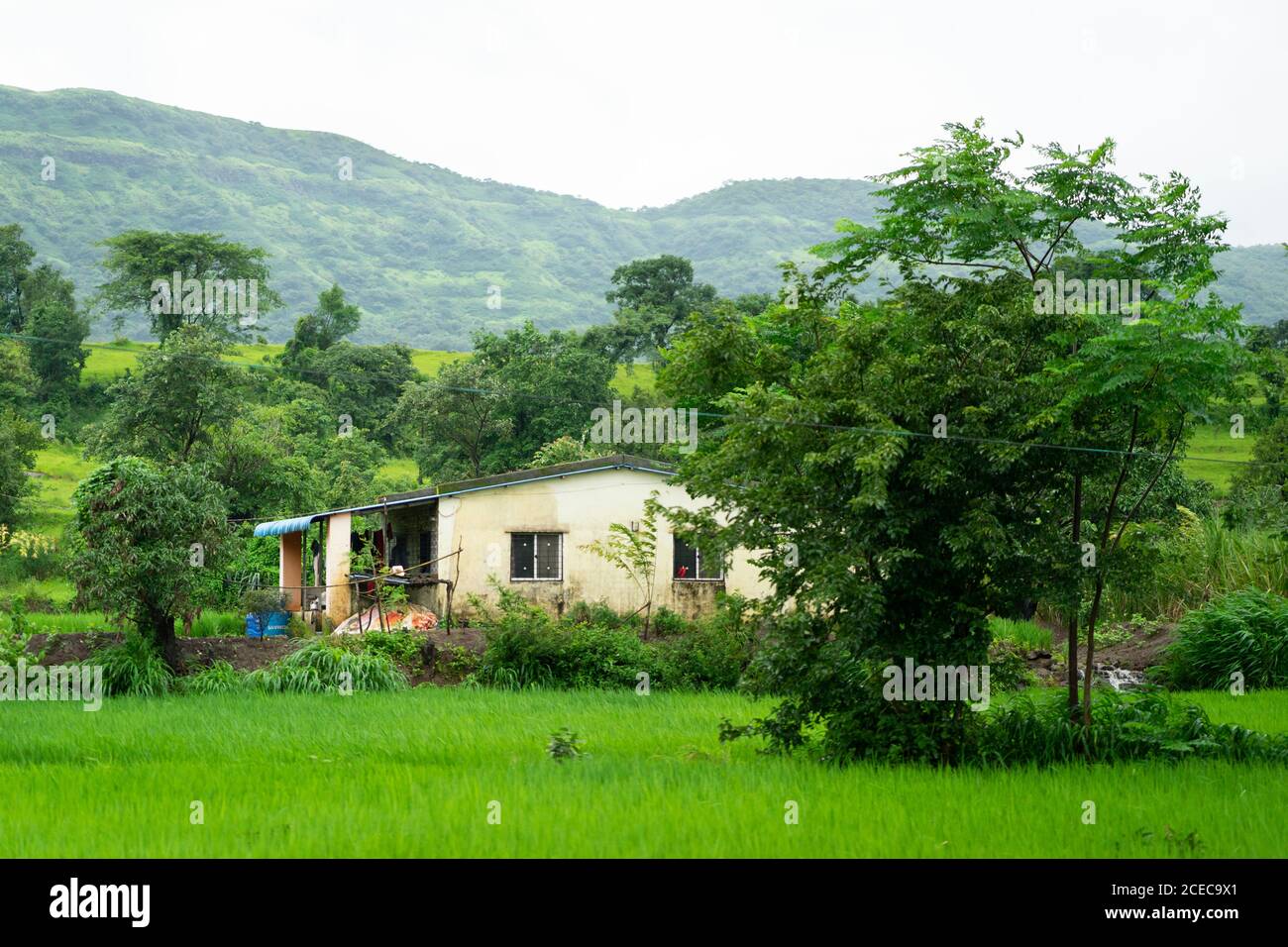 westliche Ghats Landschaft mit Sahyadri Bergkette, üppige und grüne Bäume Stockfoto