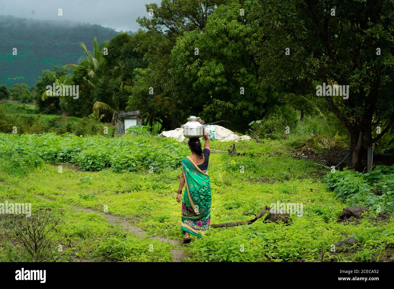 Eine Dorfbewohnerin, die mit einem Wassertopf auf ihrem Kopf mit dem Hintergrund des Sahyadri Berges mit schwebenden Wolken geht. Stockfoto
