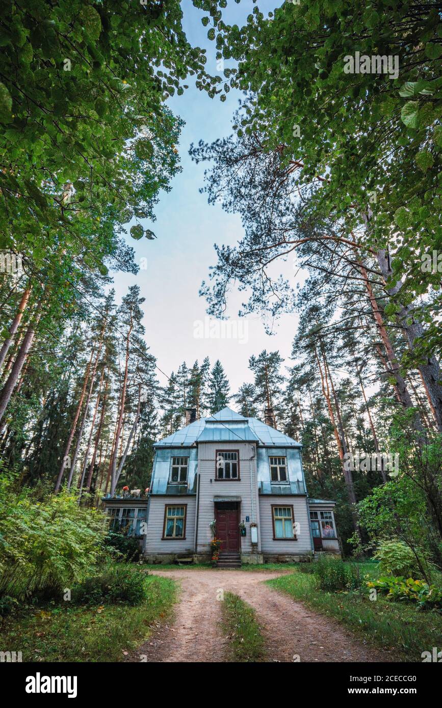 Straße zu schönen Haus im Wald Stockfoto