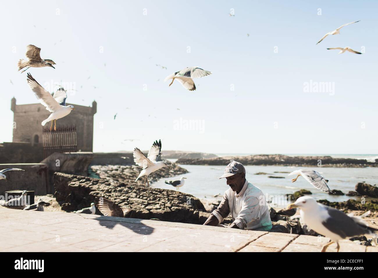ESSAOUIRA, MAROKKO - 10. SEPTEMBER 2019: Alte Fischer füttern Möwen im Hafen Essaouira, Marokko. Viele Vögel fliegen herum. Stockfoto