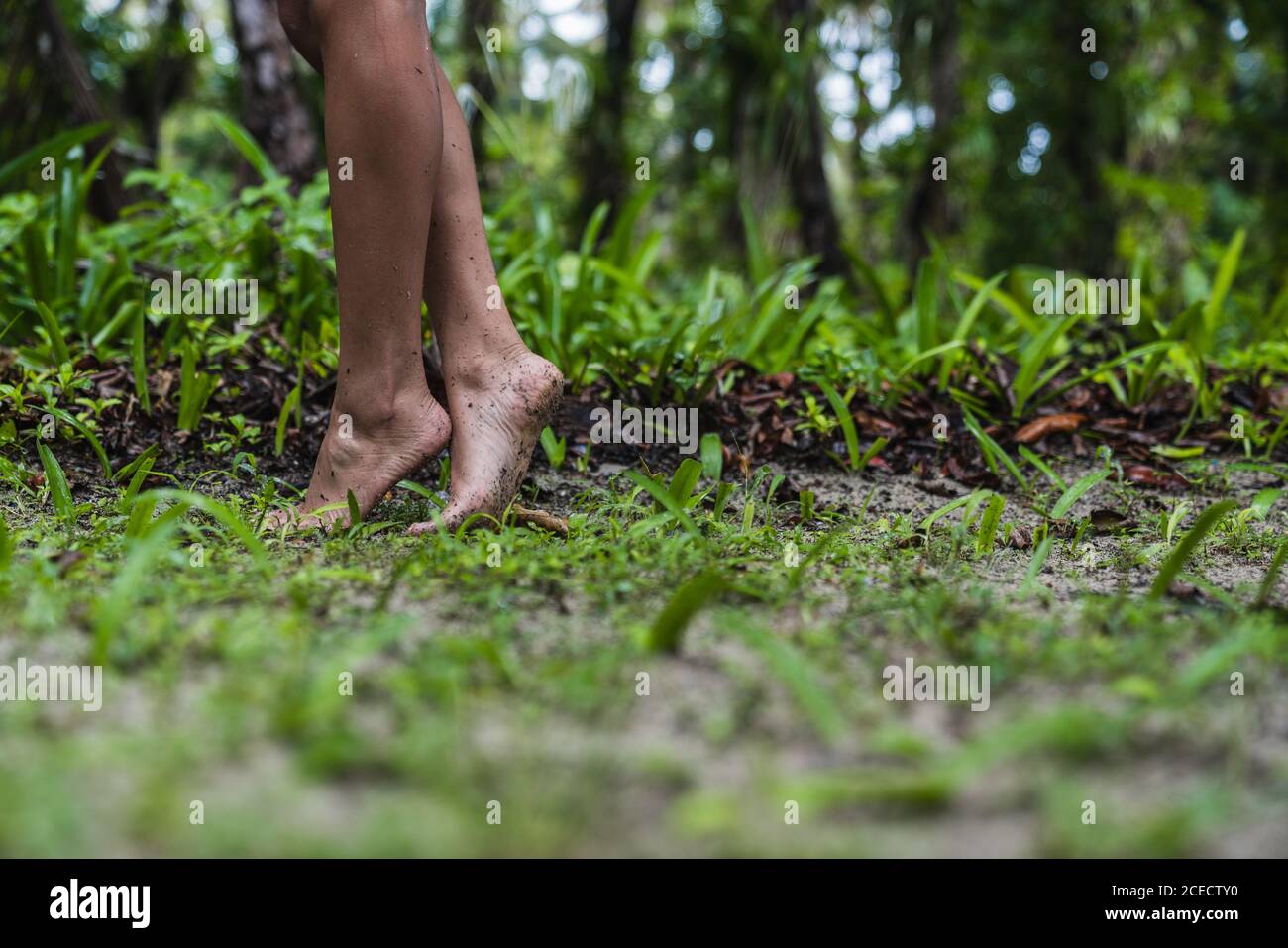Seitenansicht der Fruchtbeine einer barfüßigen Frau an Land im grünen Wald auf den Bocas del Toro Inseln, Panama Stockfoto