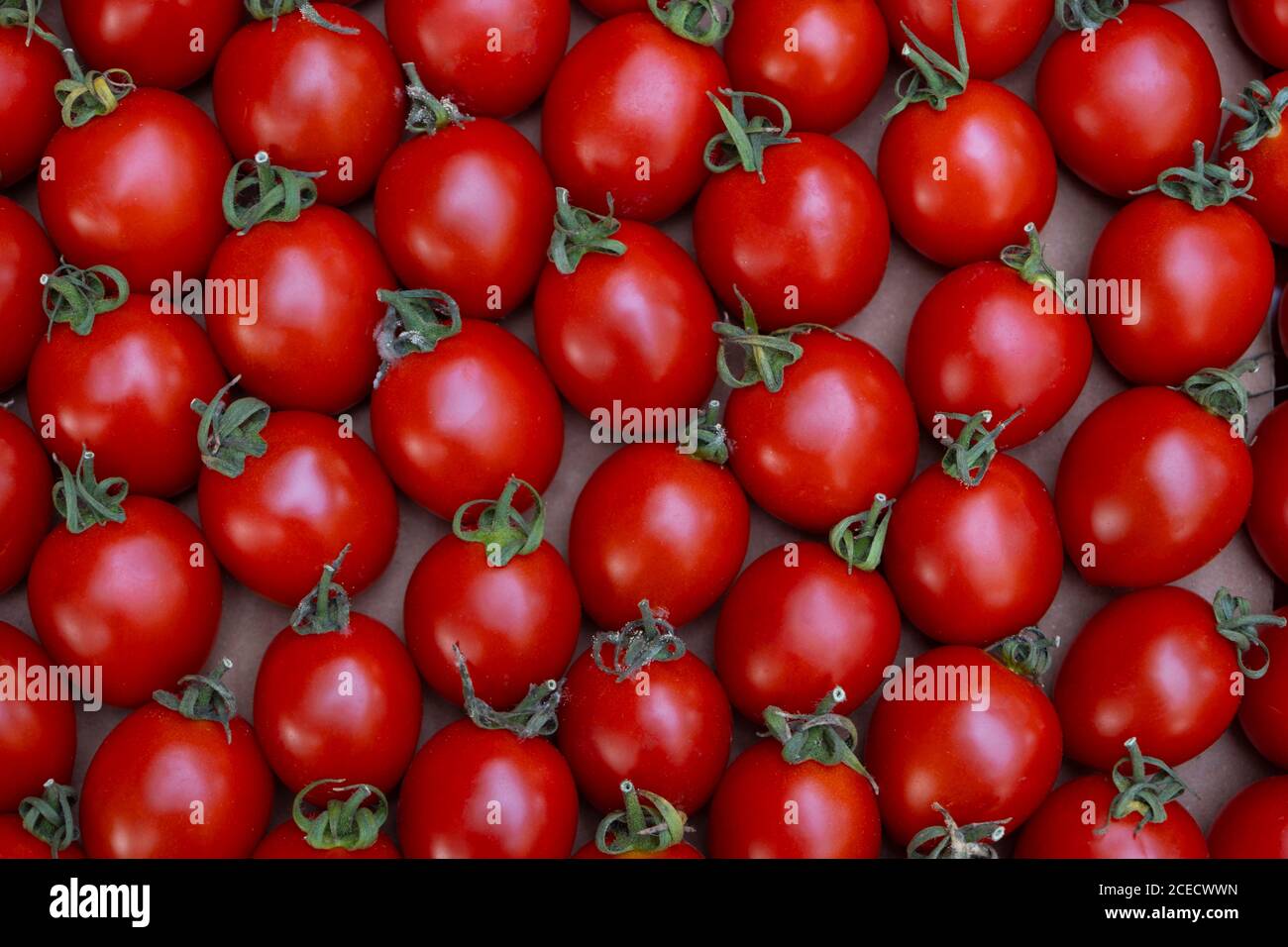 Köstliche rote Tomaten. Sommer fach Markt Landwirtschaft Bauernhof voller Bio Gemüse es als Hintergrund verwendet werden kann. (Selektive Fokus) Stockfoto