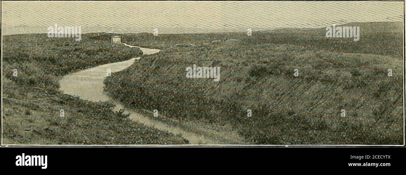 . Eine vollständige Geographie. Abb. 157.EIN Reservoir zur Bewässerung in der Nähe von San Diego, Kalifornien. DIE WESTERN STAATEN 161 sind; und wegen der Schwierigkeit, Nahrung zu erhalten, würden Dutzende von Mining Städten nicht in Existenz sein. Überall, wo das Wasser der Flüsse über die Felder geführt wird, bilden die Menschen Siedlungen und oft kleine Städte. Das ist die caseat Greeley, Colorado, Cheyenne und Laramie, die principalcities in Wyoming, und zahlreiche andere Orte.. Abb. 1,j8.eine Bewässerungsklitcli auf der Ebene in der Nähe von Billings, Montana. Einer der besten Landwirtschafts-Bezirke in den ariden Ländern ist in Utah. Most dieses Zustandes Stockfoto