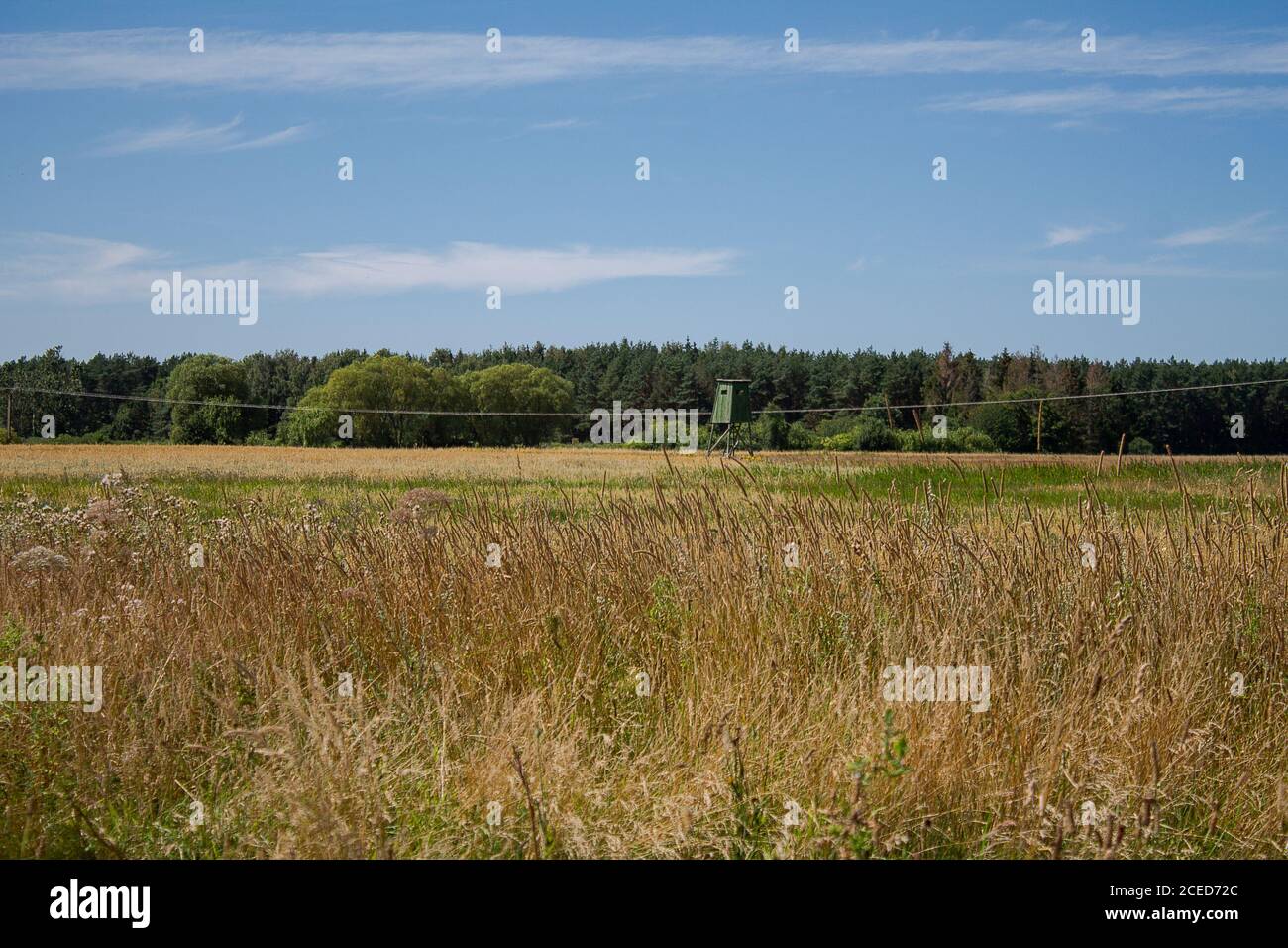 Landschaft mit einem Jägerpfosten. Wilde Wiese im Vordergrund dahinter sieht man einen Wald. Stockfoto