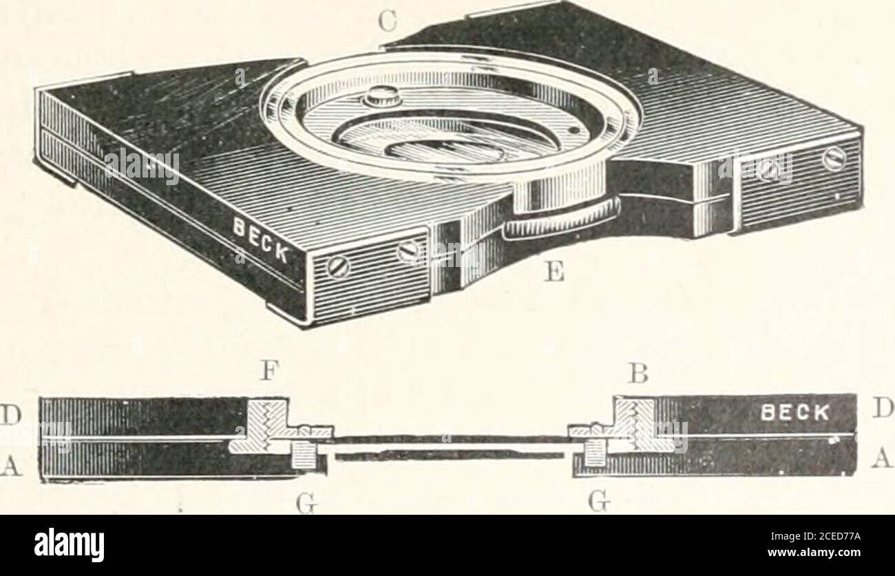 . Das Mikroskop und seine Enthüllungen. E ein bewundernswerter parallelkompressor, aber sein Gewicht und seine Kosten waren etwas unerschwinglich von seinem uferenerally; die Firma haben jetzt beide Schwierigkeiten durch die Einleitung einer neuen Form überwunden, die nützlichste und vollendeter Arbeit ist. Dieser Kompressor wurde von Herrn H. R. Davis entworfen und ist speziell für die Untersuchung von lebenden Objekten bestimmt. Es besteht, wie in Abb. 301, einer unteren Ebonitplatte A, die in der Mitte ein Rundloch hat und in die Vertiefung eingelassen ist, um einen kreisförmigen brassring B zu erhalten.dieser Ring liegt lose in der Aussparung. Auf den Reces Stockfoto