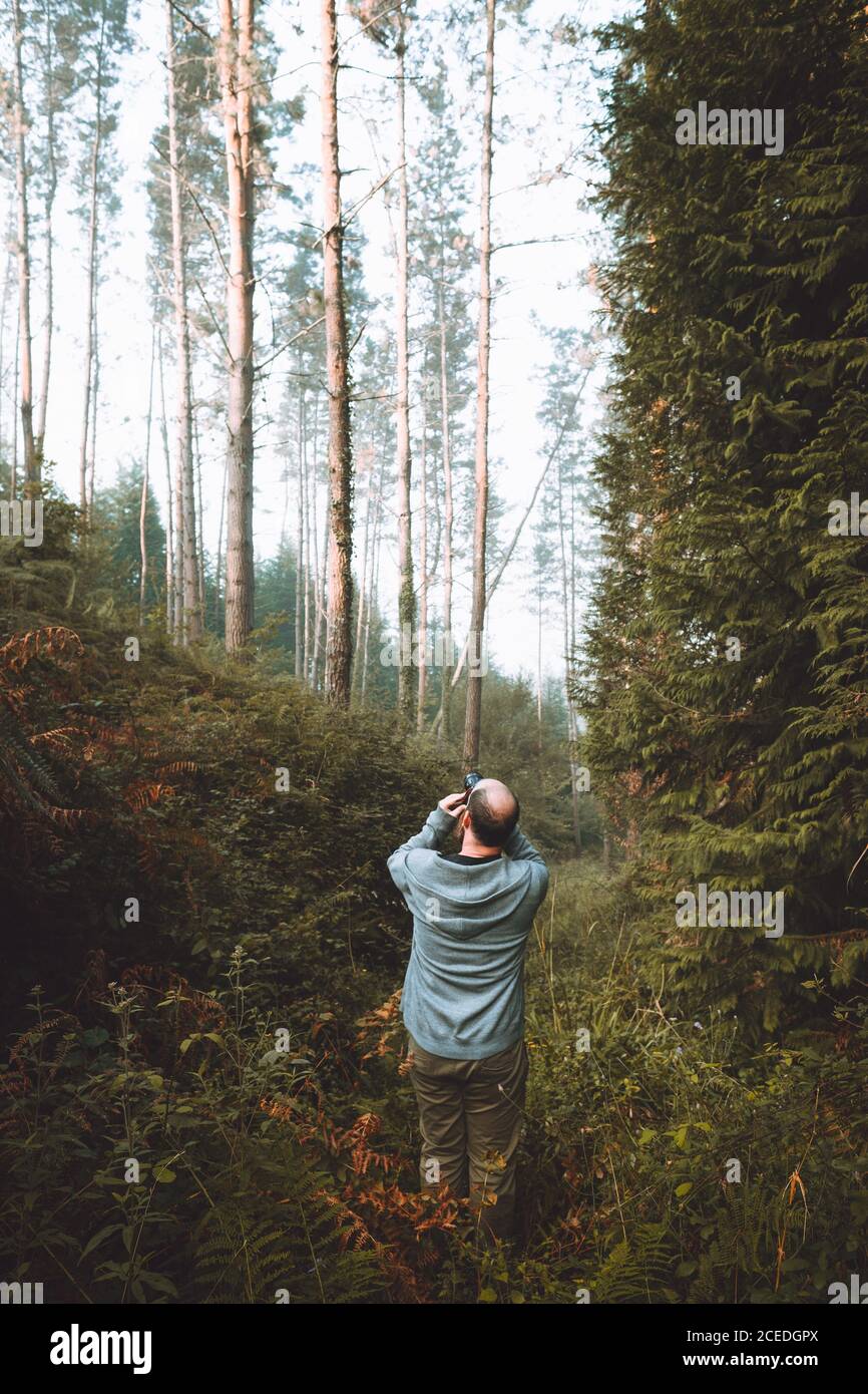 Rückansicht des erwachsenen Fotografen Mann in grünen ruhigen Wald stehen und Aufnahme in Pais Vasco, Baskenland, Spanien Stockfoto