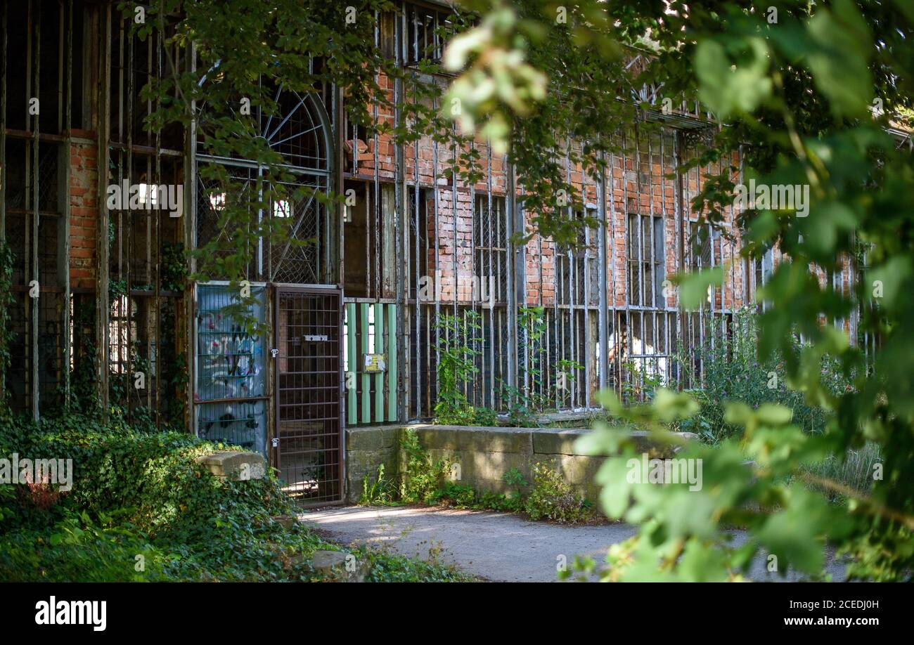 Wernigerode, Deutschland. August 2020. Das historische Palmenhaus im Lustgarten Wernigerode. Die Schlossgärten sind Teil des Netzwerks 'Gartenträume - Historische Parks in Sachsen-Anhalt', das in diesem Jahr sein 20-jähriges Bestehen feiert. Quelle: Klaus-Dietmar Gabbert/dpa-Zentralbild/ZB/dpa/Alamy Live News Stockfoto