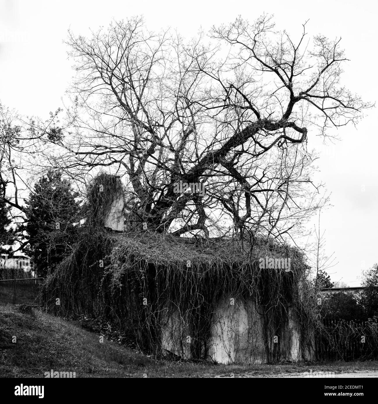 Graustufenaufnahme eines verlassenen Hauses mit einem toten Baum Daneben - toll für Horrorfilme Konzept Stockfoto