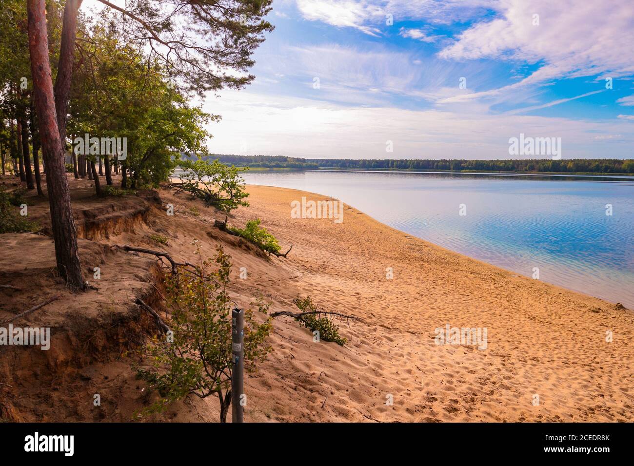 Sonnenaufgangsstimmung mit rosa Wolken am Ufer des Helenesee bei Frankfurt an der oder, Brandenburg, Ostdeutschland. Stockfoto