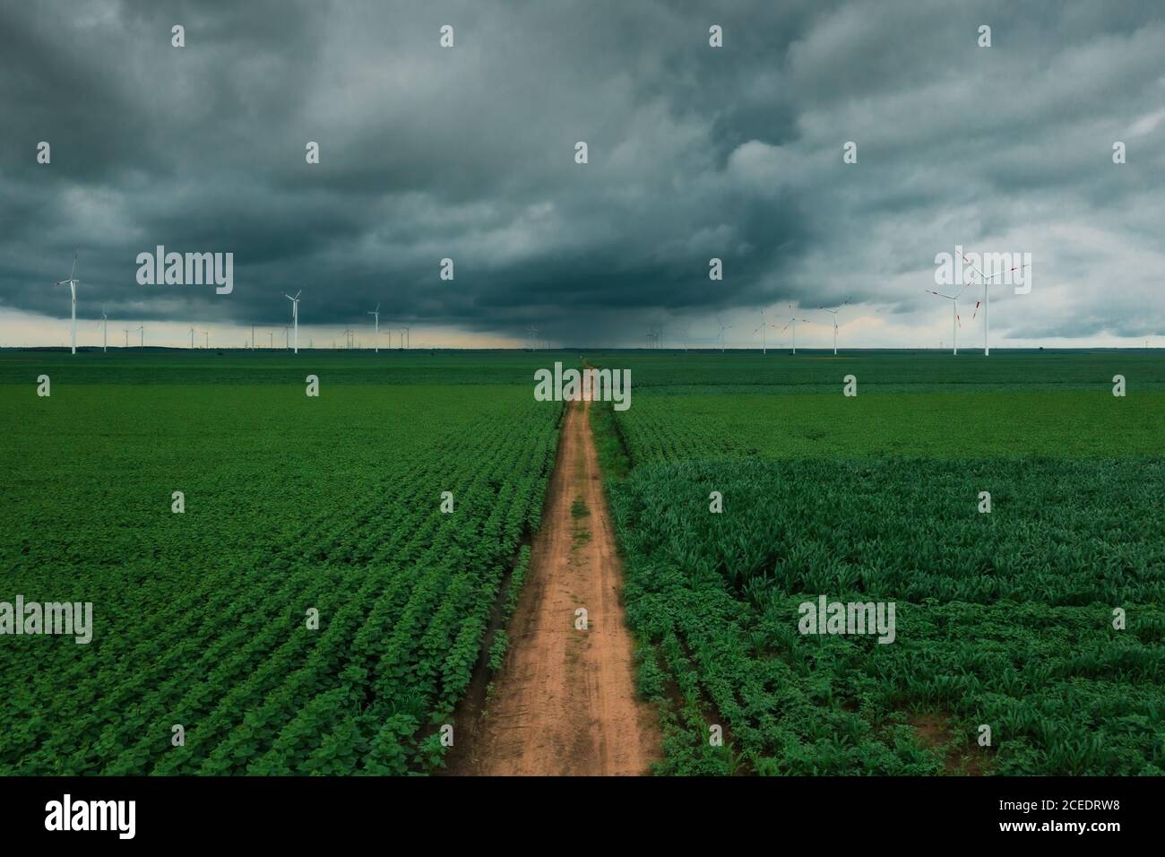 Landstraße durch landwirtschaftliche Felder mit Windturbinen im Hintergrund am dunklen bewölkten bewölkten Nachmittag Stockfoto