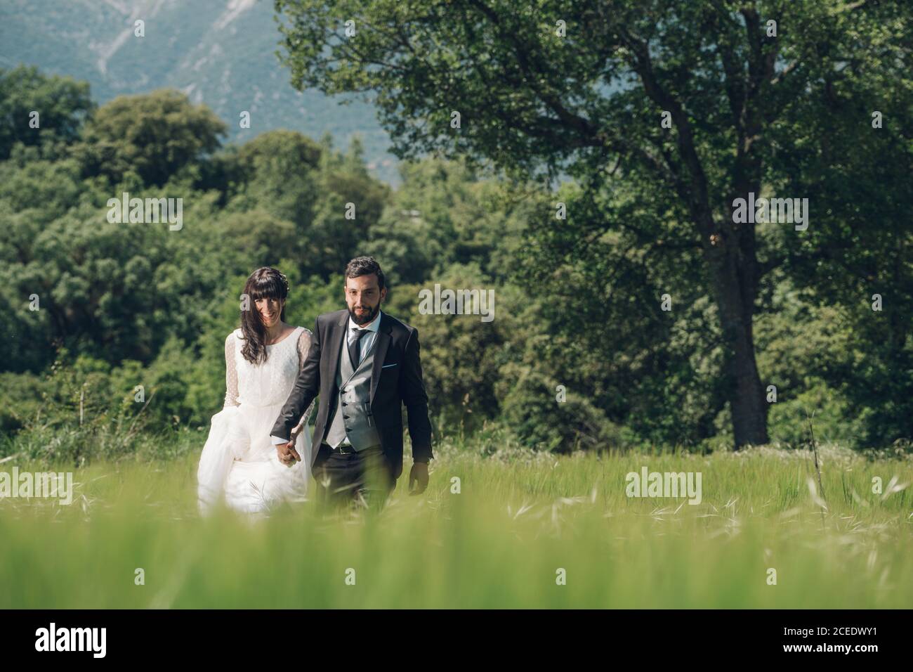 Der junge, gerade verheiratete Mann in schwarzem Kostüm und die Frau im Hochzeitskleid, die in einem grünen Hain die Hände hält Stockfoto