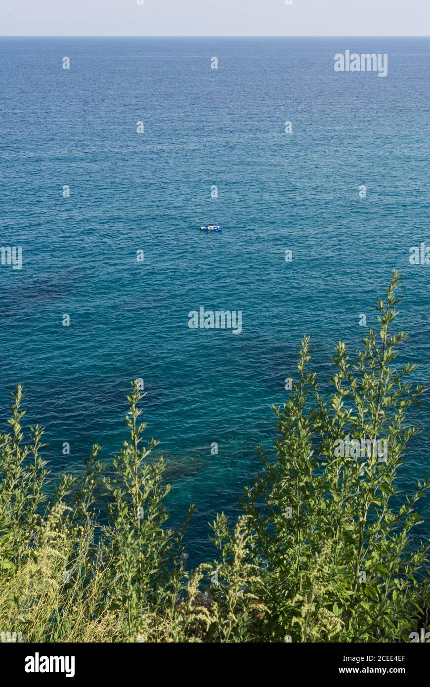 Grüne Palmen und blaues Meer im Sonnenlicht Stockfoto