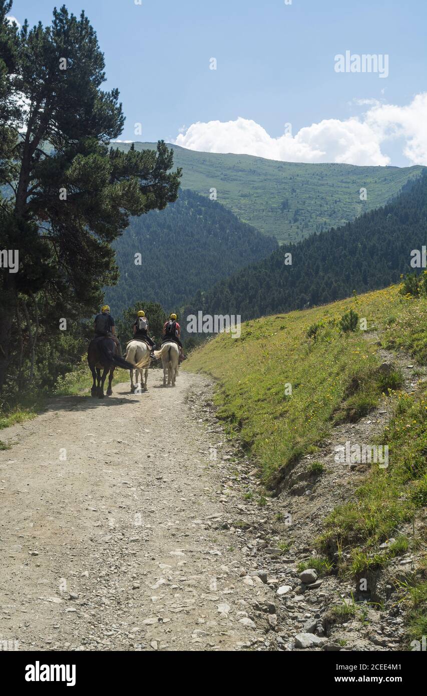Rückansicht von Touristen Reiten Pferde auf schmalen Straße in grünen Bergen der Pyrenäen in Sonnenlicht, Spanien Stockfoto
