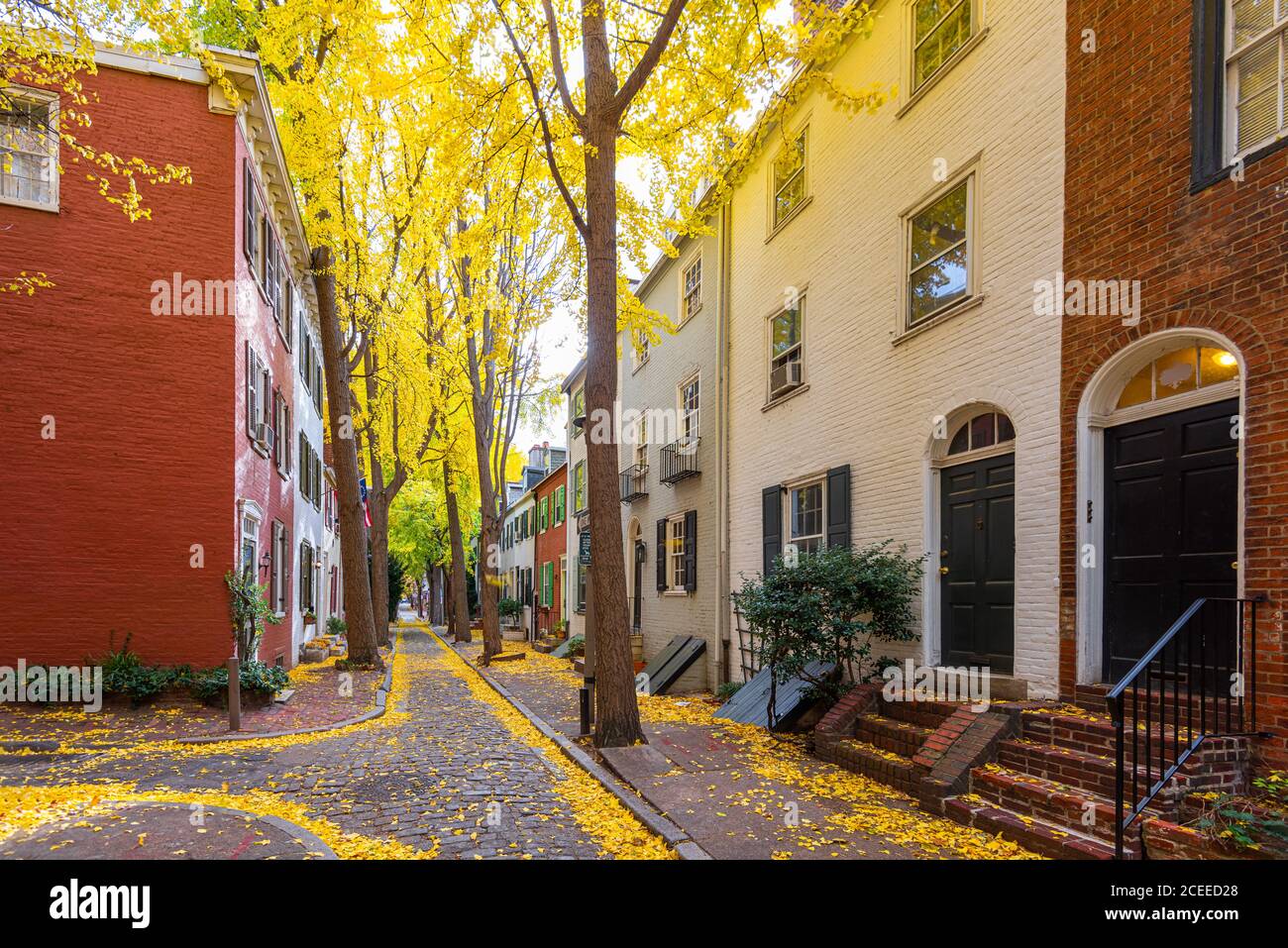 Herbstliche Gasse in einem traditionellen Viertel in Philadelphia, Pennsylvania, USA. Stockfoto