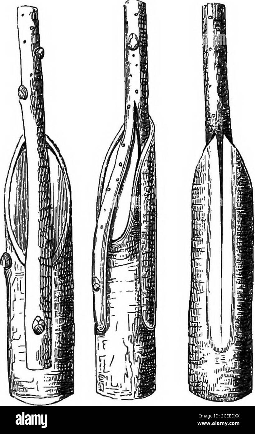 . Die Theorie und Praxis des Gartenbaus; oder, ein Versuch, die Hauptoperationen der Gartenarbeit auf physiologischen Gründen zu erklären. Medulla zur äußeren Oberfläche des alburnum. Das Transplantat wird natürlich am vorteilhaftesten platziert, wenn es die größere Oberfläche darstellt, um solche Flüssigkeit zu erhalten, und wenn die Flüssigkeit selbst am wenigsten von ihrem ;iaturalen Verlauf abweicht. Dies geschieht mostefficiently, wenn (wie in diesem Sattelpfropfen) ein Pfropfen von nahezu gleicher Größe mit dem Vorrat an seiner Basis geteilt und gemacht wird, um den Vorrat standhalten, und wenn die zwei Abteilungen des Pfropfens extrem dünn, a Stockfoto