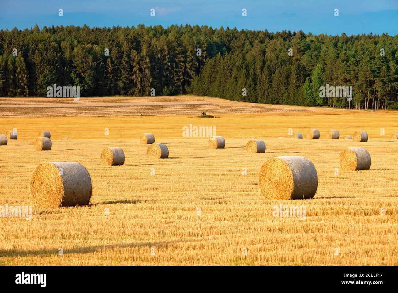 Tschechien, Südböhmen - Hay-Ballen. Stockfoto