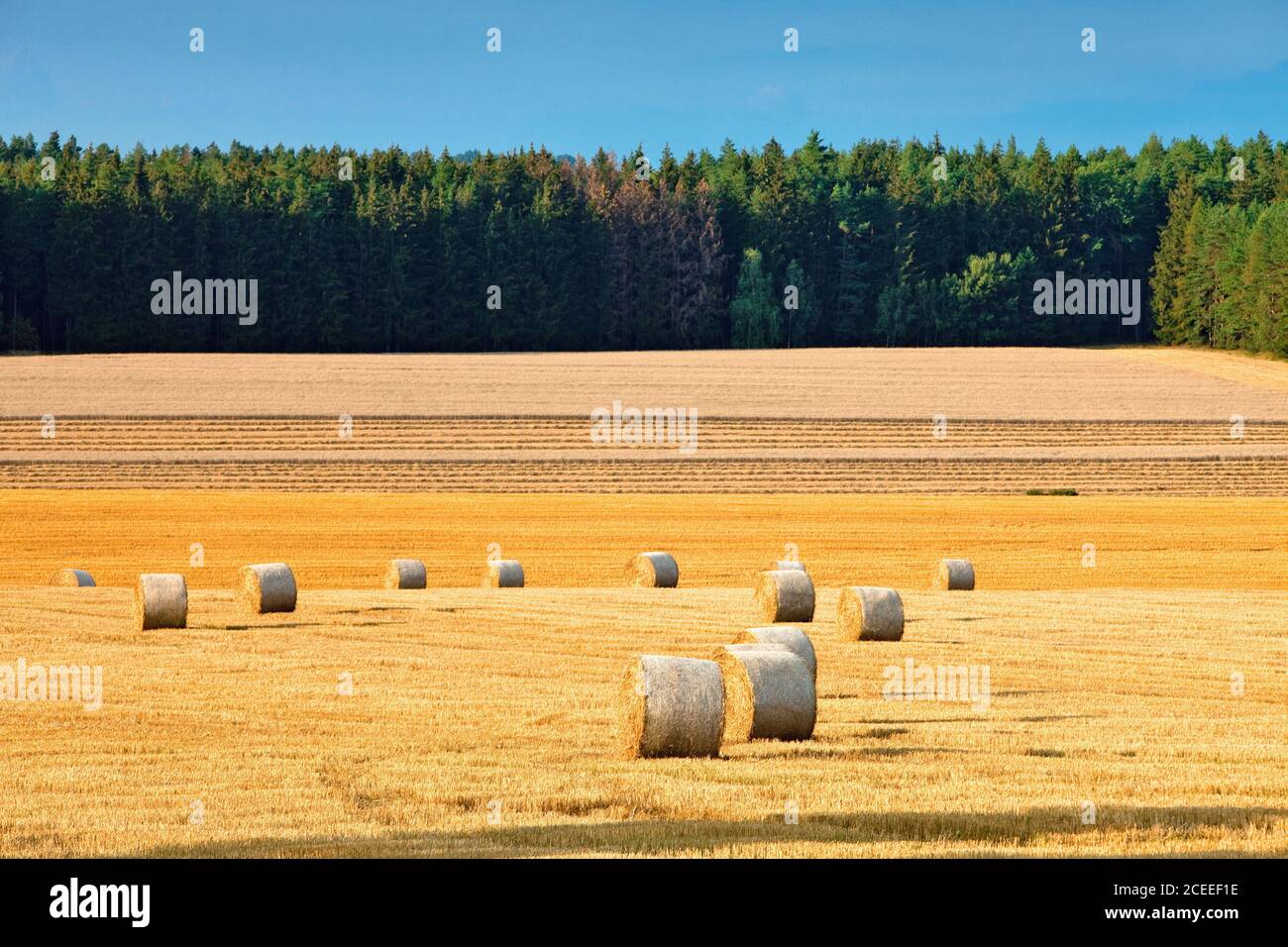 Tschechien, Südböhmen - Hay-Ballen. Stockfoto