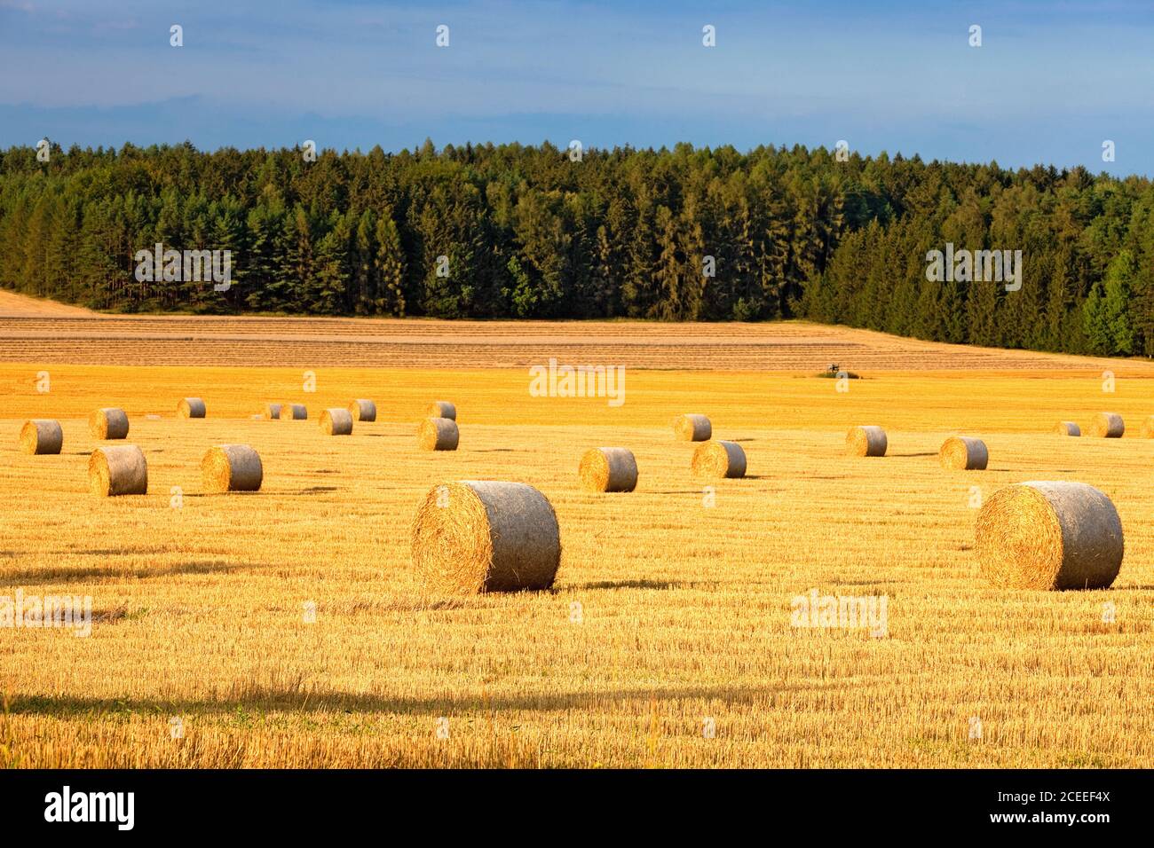 Tschechien, Südböhmen - Hay-Ballen. Stockfoto
