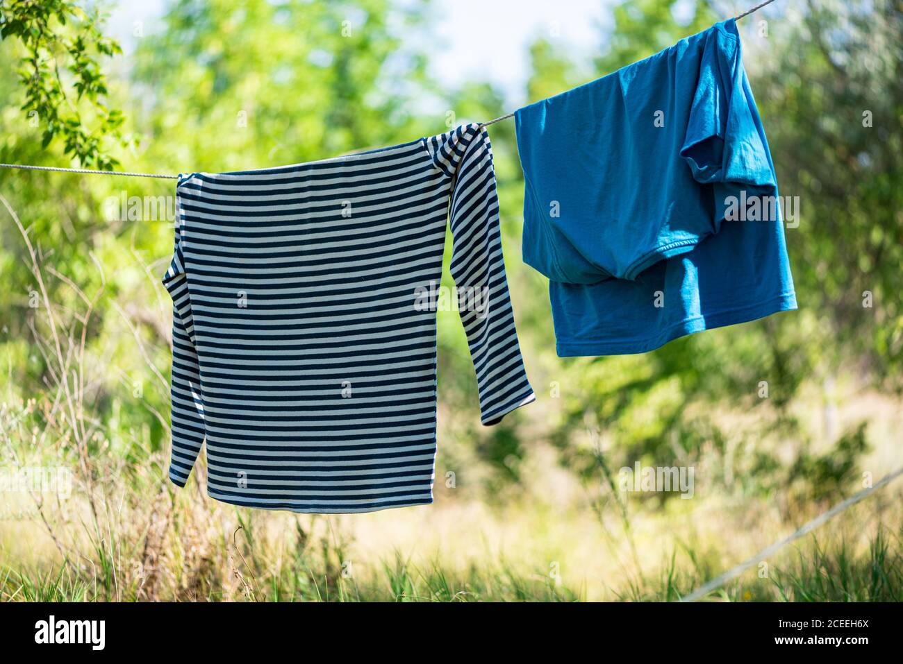 Nasse Kleidung trocknet auf Seil zwischen den Zelten auf dem grünen Bäumen Hintergrund. Camping, touristisches Leben, Sommerferienkonzept Stockfoto