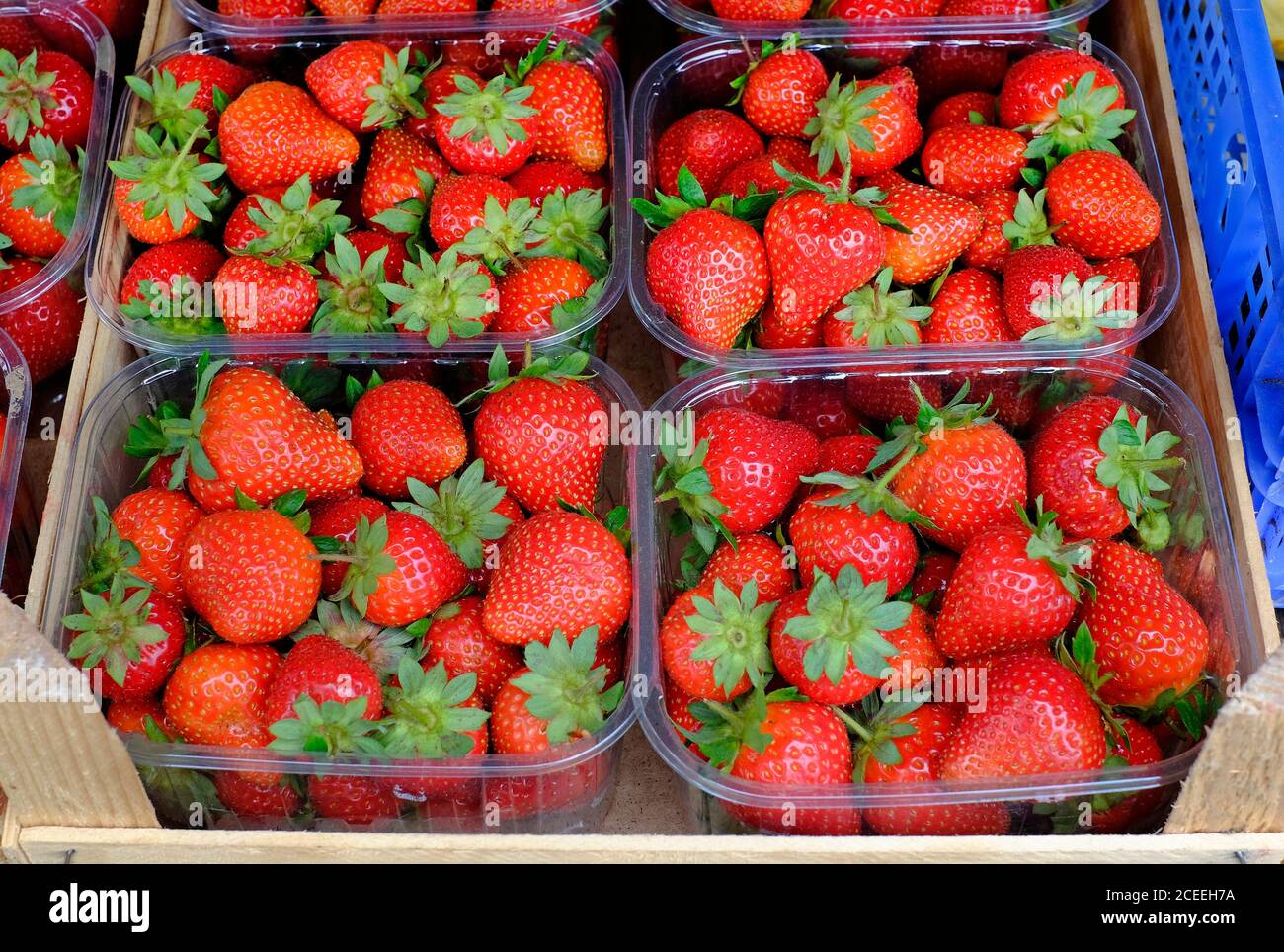 Rote Sommererdbeeren in Plastikbehältern, norfolk, england Stockfoto