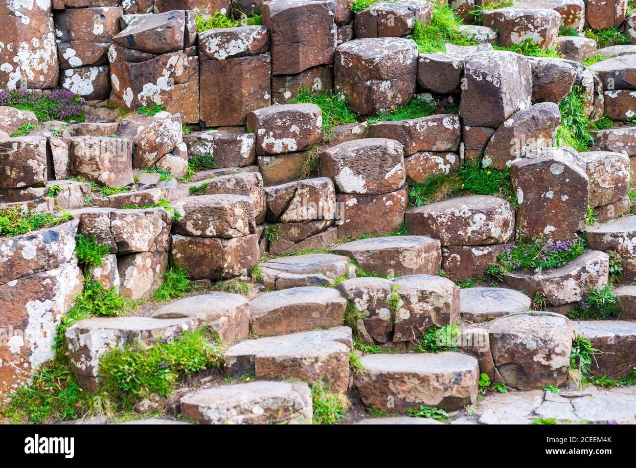 Abstraktes Bild aufgenommen vom Giant's Causeway in der Grafschaft Antrim, Nordirland. Stockfoto