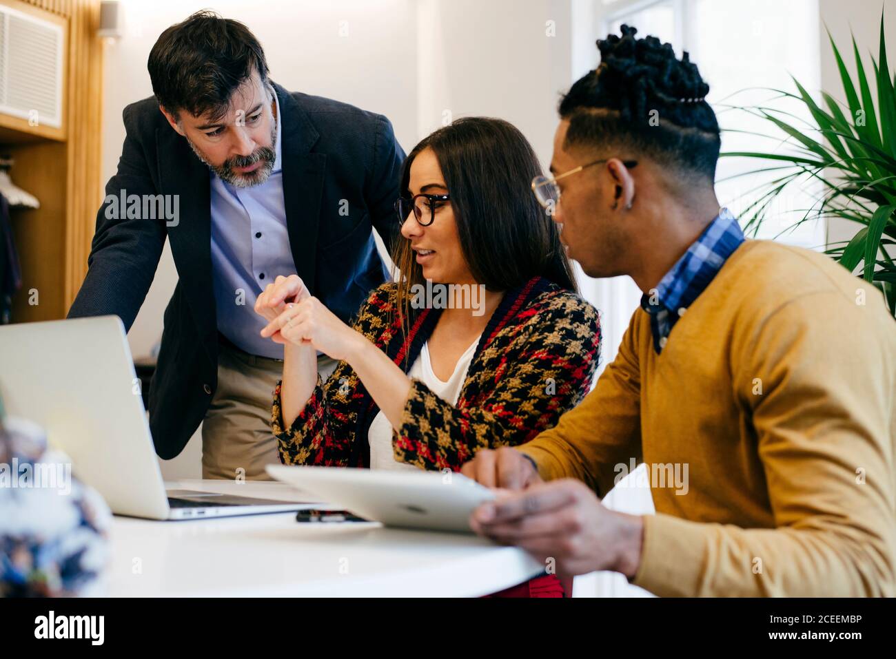 Männer und Frauen mit unterschiedlichen Rassen, die im Büro am Laptop sitzen und zusammenarbeiten. Stockfoto