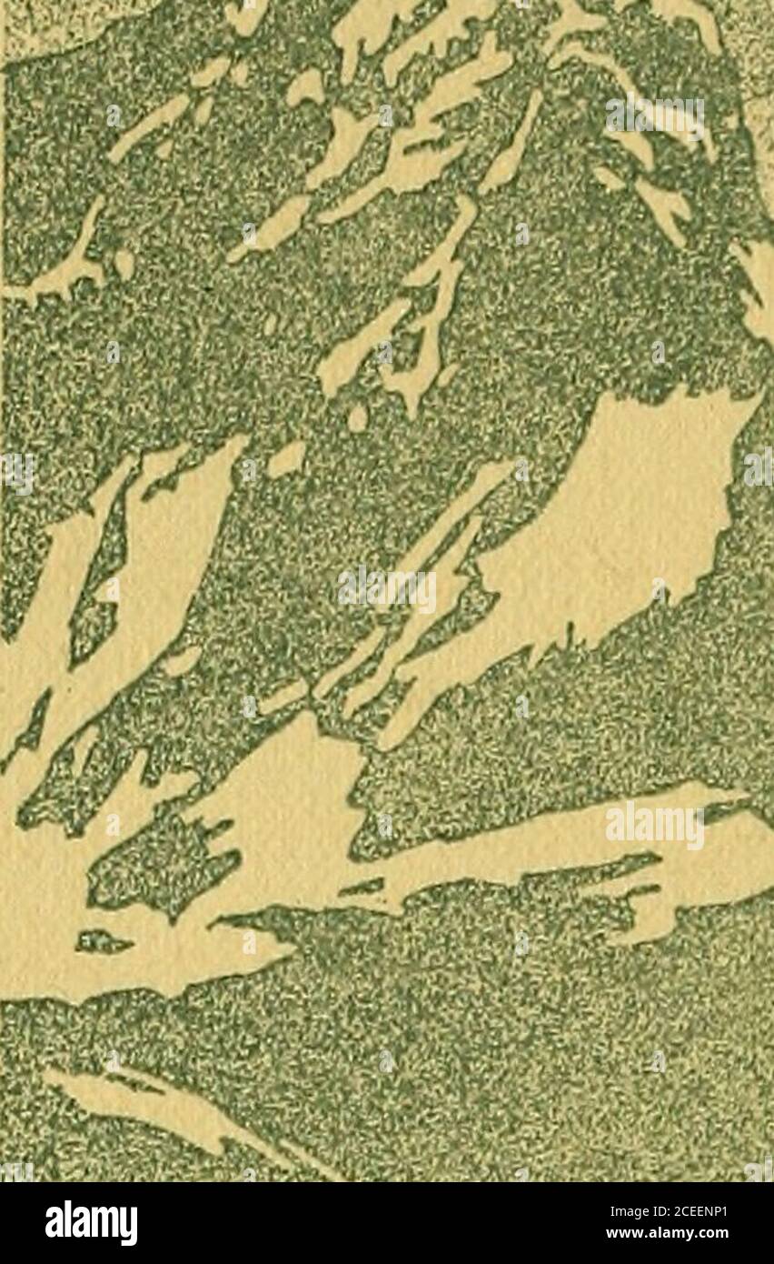 . Der Ruf der Wildnis. John Thornton und Buck schauten sich an. DIE MÜHE DER SPUR UND SPUR 157 Mann sah es kriechen entlang über dem Eis.plötzlich, sie sahen, wie sein Hinterende fallen, wie in eine Furche, und der Gee-Pol, mit Hal Klammern sich an ihn, Ruck in die Luft. Mercedess schrie zu ihren Ohren. Sie sahen, wie Charles einen Schritt zurückkam, und dann ein ganzer Abschnitt Eis nachgab und Hunde und Menschen verschwinden. Ein gähnende Loch war alles, was zu sehen war. Der Boden war aus dem Weg. John Thornton und Buck schauten einander an. Du armer Teufel, sagte John Thornton, und Buck leckte Stockfoto