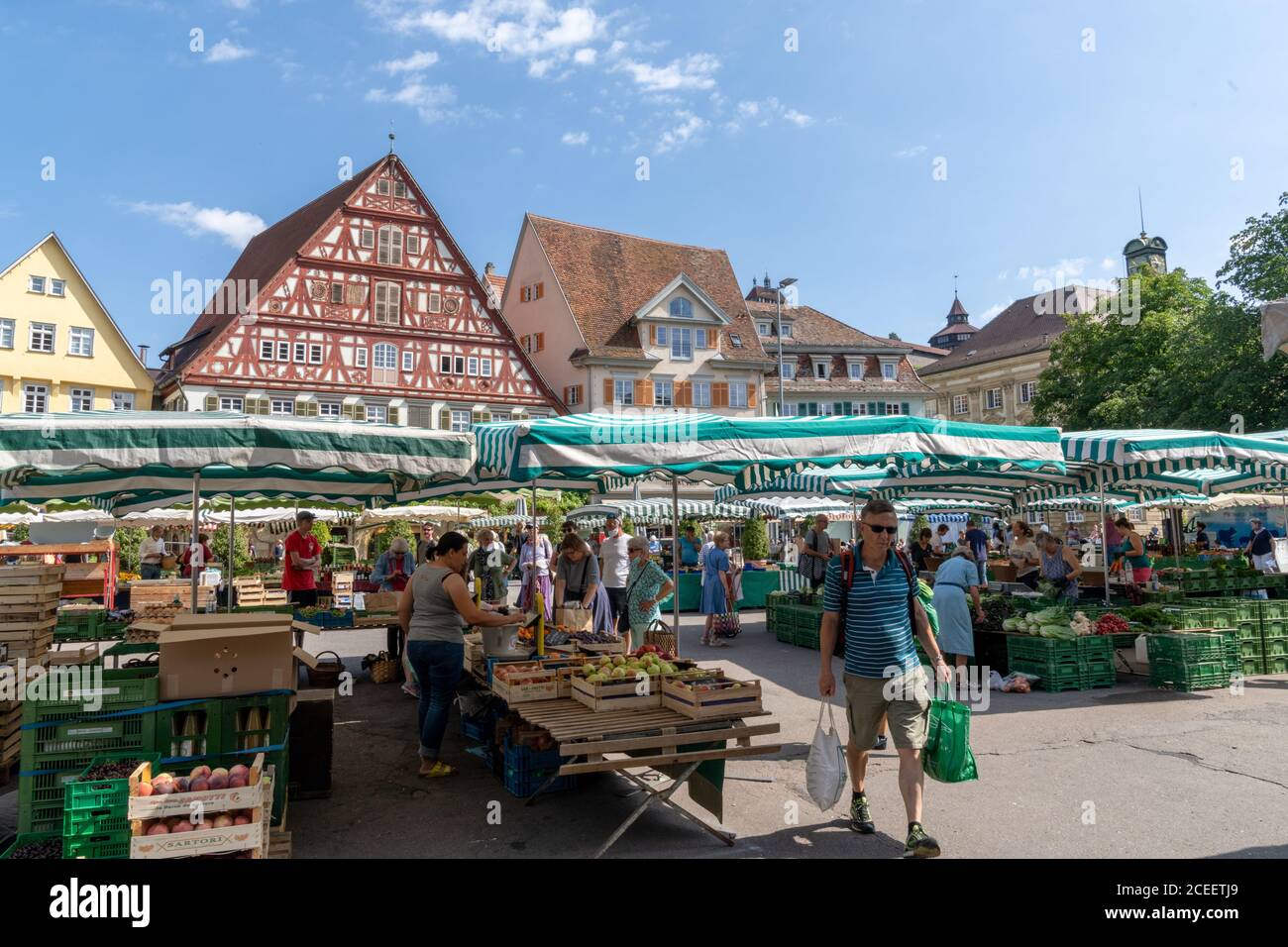 Esslingen, BW - 22. Juli 2020: Auf dem Wochenmarkt auf dem Esslinger Stadtplatz am Neckar kaufen die Menschen gerne Lebensmittel ein Stockfoto