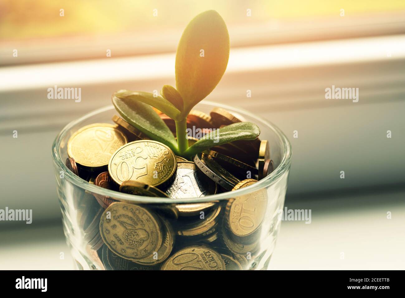 Pflanze wächst aus Sparmünzen Glas Glas - Investition Und Zinskonzept Stockfoto