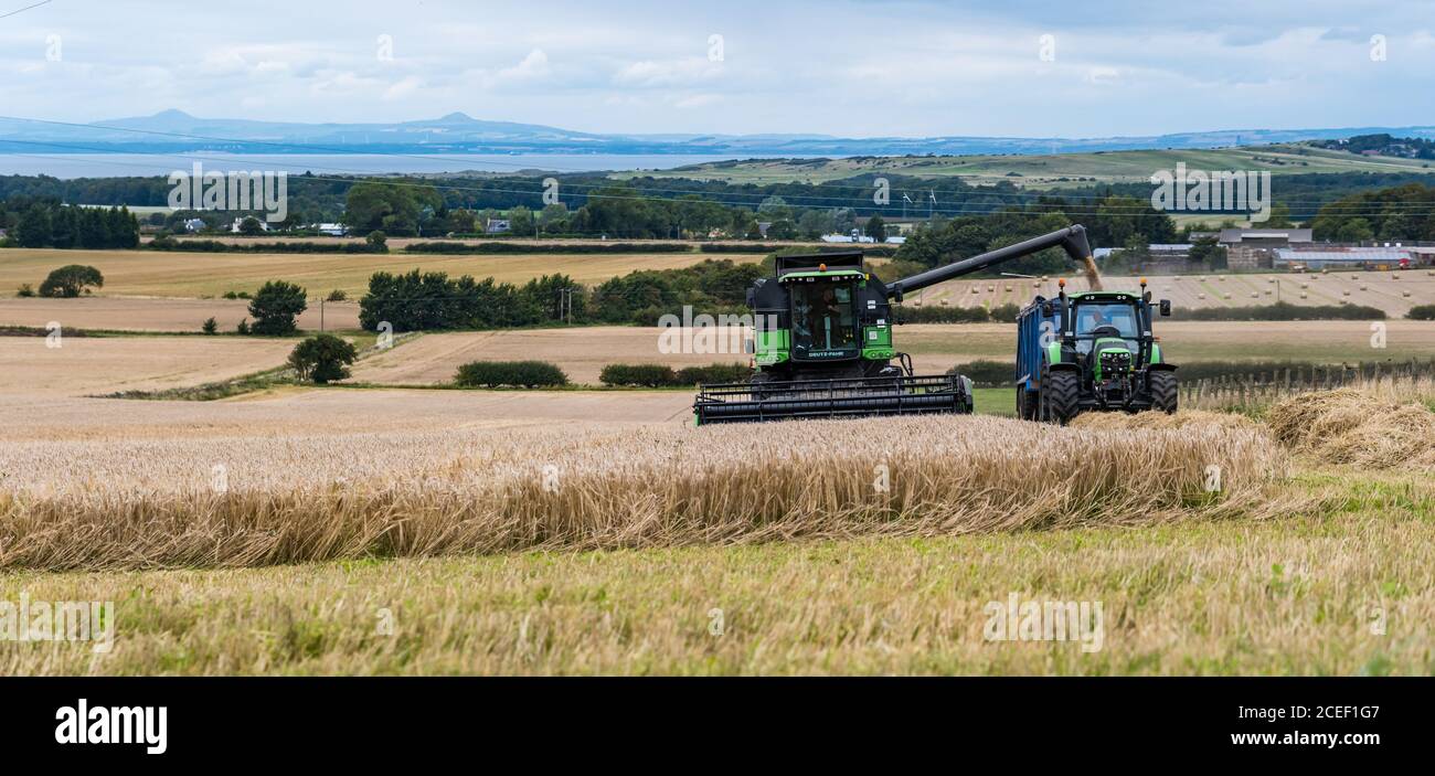 East Lothian, Schottland, Großbritannien, 1. September 2020. UK Wetter: Frühling Gerstenernte. Ein Deutz Fahr Mähdrescher erntet ein Gerstenkornfeld Stockfoto