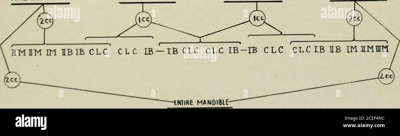 . Mundanästhesie; Lokalanästhesie in der Mundhöhle, Technik und praktische Anwendung in den verschiedenen Bereichen der Zahnmedizin. ODER GANZ- NAXLLLA D.MANDIBULA RECHTS LINKS PTERYGOMANDIBULARAND LINGUAL MENTAL F. MENTAL F. LEFTPTERYGOMAHDIBU LARAND LINGUAL. 106 ORALANÄSTHESIE 1. OPERATIVE ZAHNHEILKUNDE Karies zu entfernen und bereiten Hohlräume mitCavity normale Pulps, für Füllungen, brauchen wir in der Regel Präparate Anästhesie der Zähne nur. Aber wenn das Zahnfleisch für Halshöhlen zurückgezogen werden muss, ist eine Narkose des Zahnfleisches ratsam, um die korrekte Einstellung der Klemme zu ermöglichen. Das erste und Stockfoto