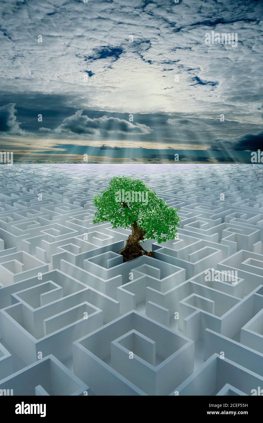 Green Issues Labyrinth Finden Sie Ihren Weg zurück zur Natur Konzept Stockfoto