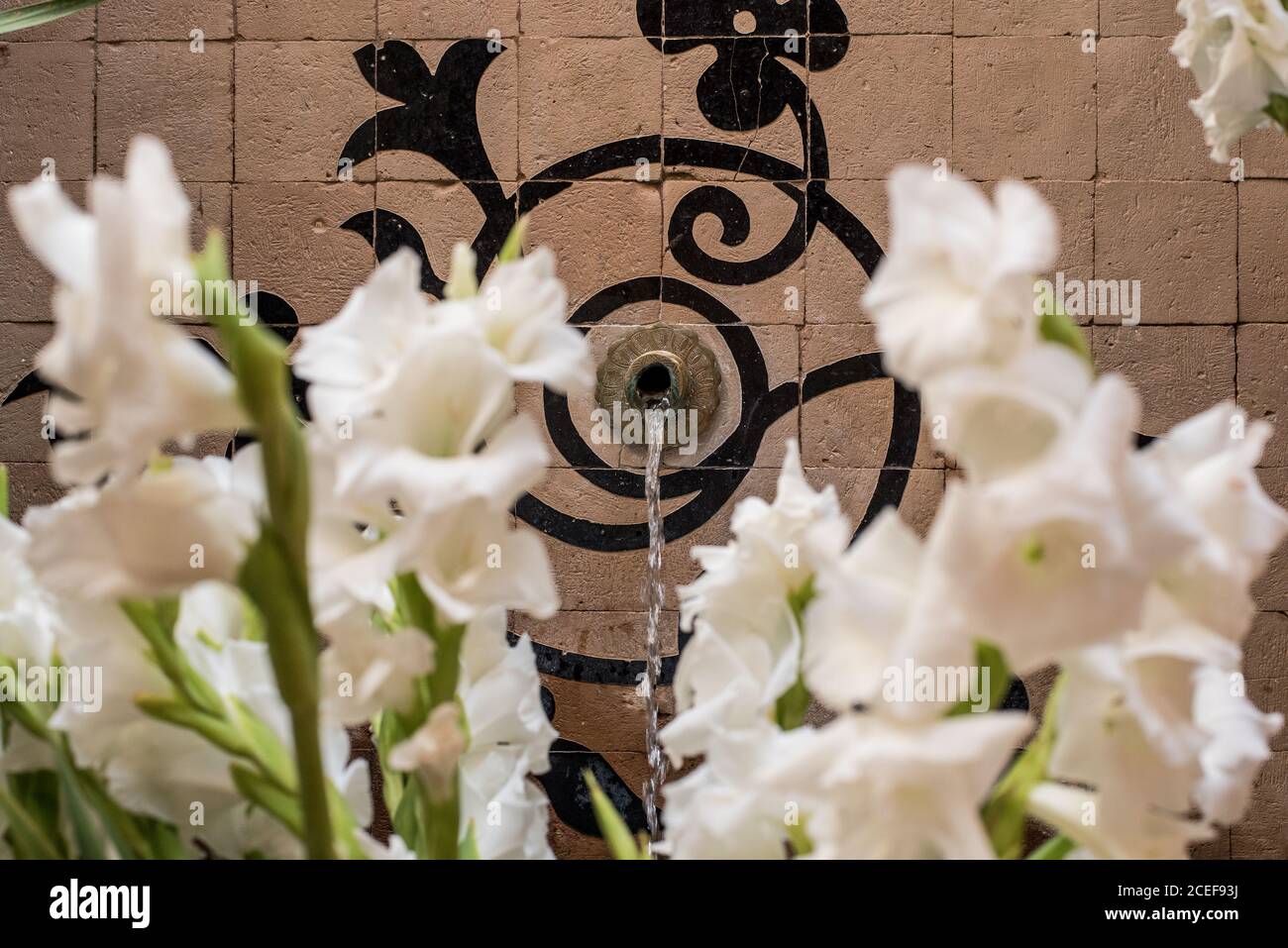 Kunstwand Brunnen und Blumen Stockfoto