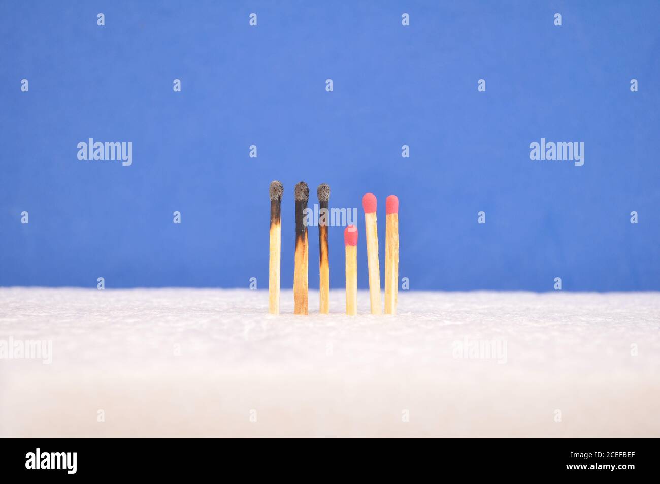 Streichhölzer, Seite an Seite auf weißem Grund und blauem Hintergrund, Konzeptfoto, die Ausbreitung des Feuers. Stockfoto