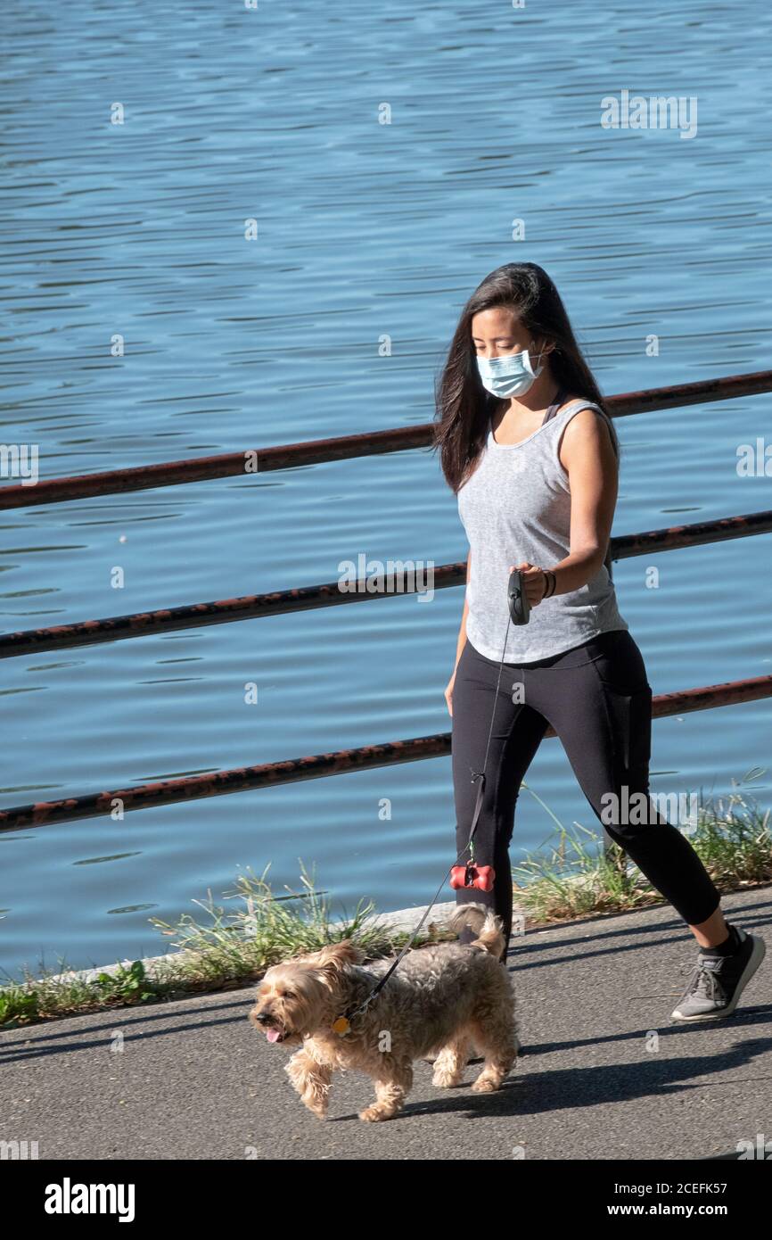 Eine attraktive junge Dame mit einer OP-Maske geht mit ihrem Hund auf einem Weg am See in Kissena Park, Flushing, Queens, New York City/ Stockfoto