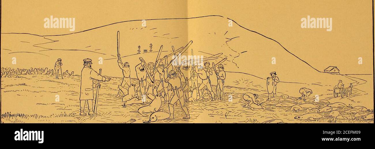 . Seehund und Lachs Fischerei und allgemeine Ressourcen von Alaska. Y Arbeitsgewand von dicken Flanell Shirts, stout cassimere oder Canvas Hosen, über die die Tarbossa Stiefel gezogen werden. Wenn es regnet, tragen sie ihre Kamlaikas, die aus den Eingeweiden und Kehlen des Seelöwen und Pelzrobbe gemacht sind. Thusdressed, sie sind jeweils mit einem Club, einem stout oaken oder hickorybludgeon, die speziell für die j) urpose in NewLondon, Connecticut, gemacht und hier für diesen besonderen Dienst importiert. Die Vereinen sind etwa 5 oder 6 Fuß in der Länge, 3 Zoll im Durchmesser attheir Köpfe, und die Dicke eines mans Unterarm w Stockfoto