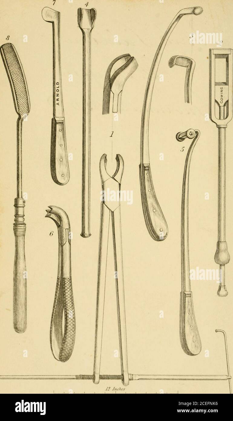 . Hippopathologie : eine systematische Abhandlung über die Störungen und Lamenesses des Pferdes, mit ihren am meisten genehmigten Methoden der Heilung ; Umarmung der Lehren der englischen und französischen Veterinärschulen ; die Meinungen der Professoren Coleman und Spooner, Dirrector Girard, Hurtrel d'Arboval, und andere britische und ausländische Tierärzte ; Mit illustrativen Holzschnitten. z^r^^^. (/^V/y//^/^j ^yr////f/- y//.>/////////// .J//•/ ///F YFR/./R DIE KRANKHEITEN DIE VERDAUUNGSORGANE DAS PFERD, EINSCHLIESSLICH DERER SEINER HARN- UND GENERATIVEN SYSTEME. MIT ABBILDUNGEN. ALS PAET II, VOL. II, DER AUTHOES * HIPPOPAT Stockfoto