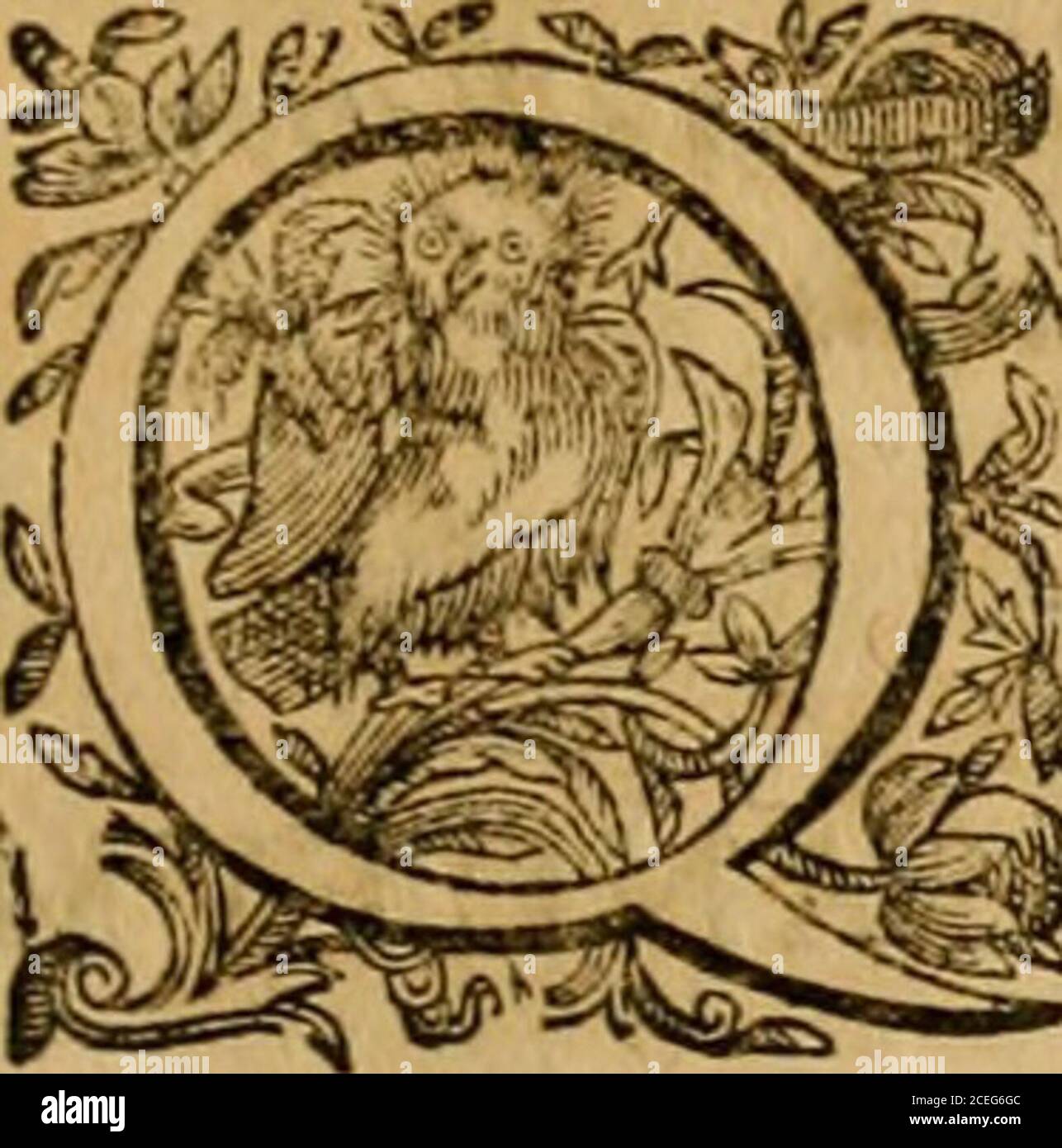 Harmonia Ex Evangelistis Tribus Composita Matthaeo Marco Luca Rgvmentv I O A N E M M N Zj Ivfignificet Cracls Suangelij Nomen Ftls Notum Efi Jn Scriotu Ra Vero X A T I O Lujpro