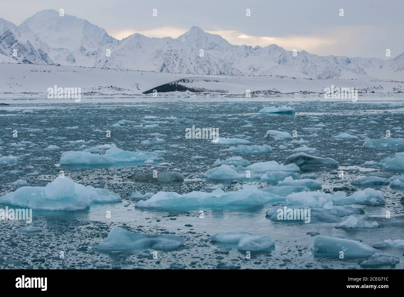 Kleine Eisblöcke schwimmen im Wasser in der Nähe der bergigen Küste. Stockfoto