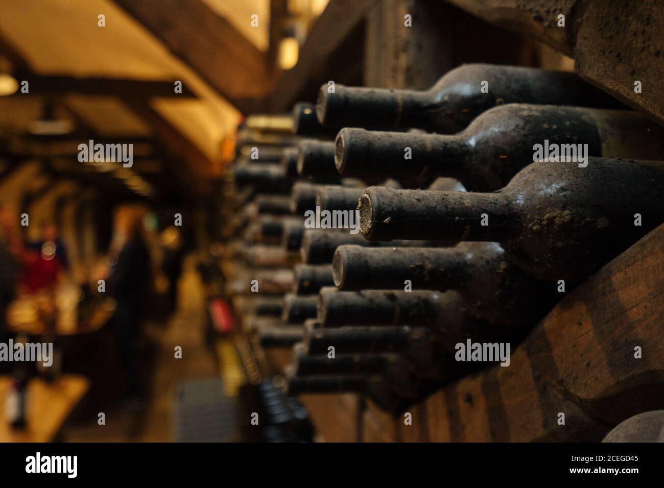 Zarte stilvolle Weingewölbe voller Flaschen liegen auf dunkel Holzregale mit von oben leuchtendem Licht Stockfoto