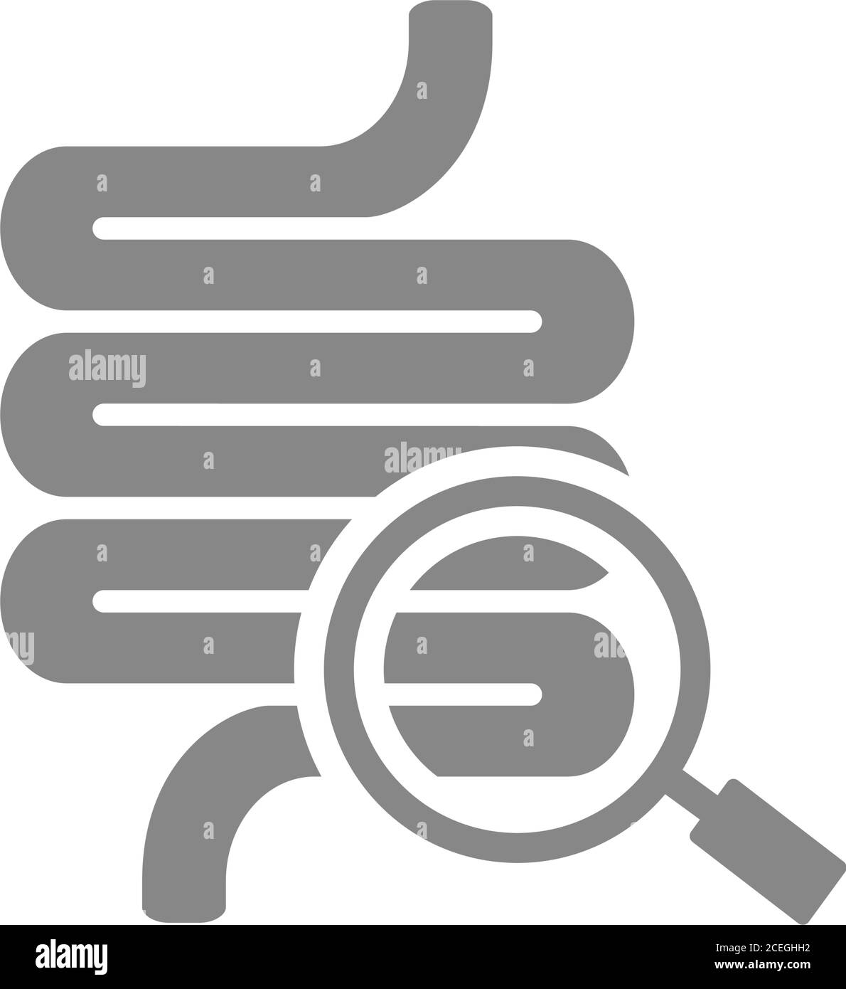 Darm mit Vergrößerungsglas graues Symbol. Organforschung, analysiert Symbol. Stock Vektor