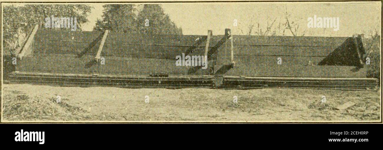 . Pflanzenvermehrung; Gewächshaus und Baumschule Praxis. Rcworking auf Radieschen. I8 PFLANZENVERMEHRUNG 170. Immergrüne, reife Holzausschnitte, esi)insbesondere von Kegelträgerpflanzen (Laubengang, Wacholder und Retinospora) werden entweder in einem kühlen Gewächshaus oder in einer anderen Bedeckung in Sand gepflanzt. Normalerweise nehmen sie langsam Wurzeln, manchmal ein ganzes Jahr (Eibe^, Wacholder), aber weiterhin grün, wenn richtig schattiert und gewässert. Nachwurzelung können sie in den Wohnungen bis zur folgenden Saison forout-of-door Pflanzung bleiben oder eingegossen werden. Die Stecklinge, in der Regel vier oder fünf Zoll lang, sind immer aus gut gereiften Stockfoto