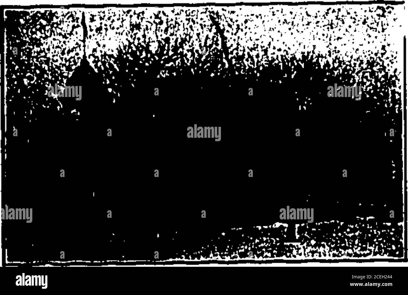 . Unsere Stadt, Narberth, PA (14. Dezember 1916). Finff1 C. B. HARTMAN 104 Dudley Avenue Narberth, Pa Fisch und Austern Telefon, Narberth 641 W HOWARD F. COTTER FLEISCH vonQUALITY Y. M. C. A. GEBÄUDE Präsident, Frau W. M. Cameron;Vice-President, Frau C. P. Fowler;ecordlng Sekretär, Frau WM. Living-ston; korrespondierende Sekretärin, Mrs.Roy Clarke; Schatzmeister, Mrs. W. C.Pollock, Jr. Chairmen. Gymnasium – Frau E. Hurth.Civics – Mrs. W. Arthur Cole Mitgliedschaft – Frau Harry Hartley.House – Mrs. James Ford Donnelly.Gesetzgebung – Frau Edward Mus-Champ.Press – Mrs. C. T. Moore. Hier finden Sie eine Vielzahl VON DEUTSCHEN KAFFEE KUCHEN A Stockfoto
