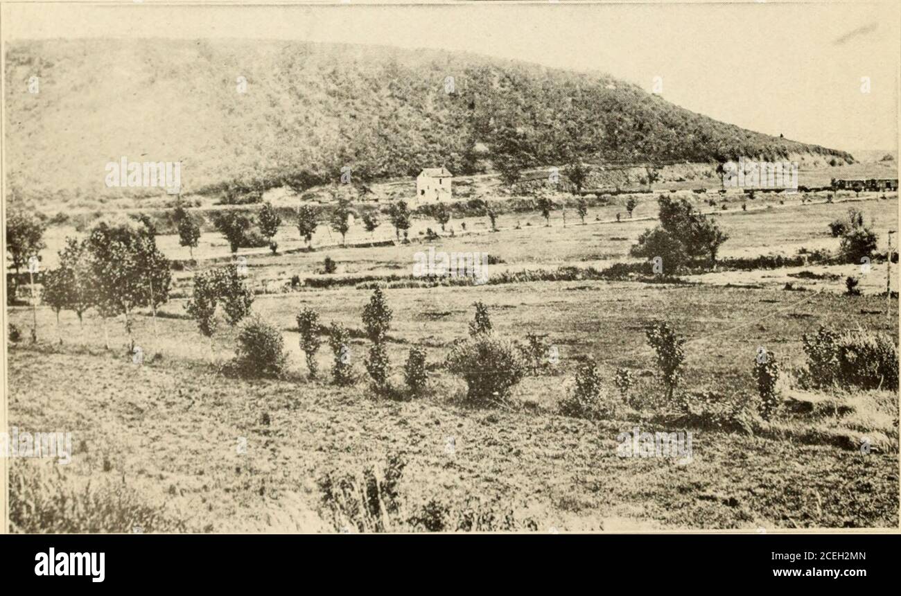 . Wo die Marineinfanteristen in Frankreich kämpften. S. C. 3. Mrd. 6. Reg., Thiacnutt Jaulny Road.. Bois de La Montagne von 5. Marines. Stockfoto