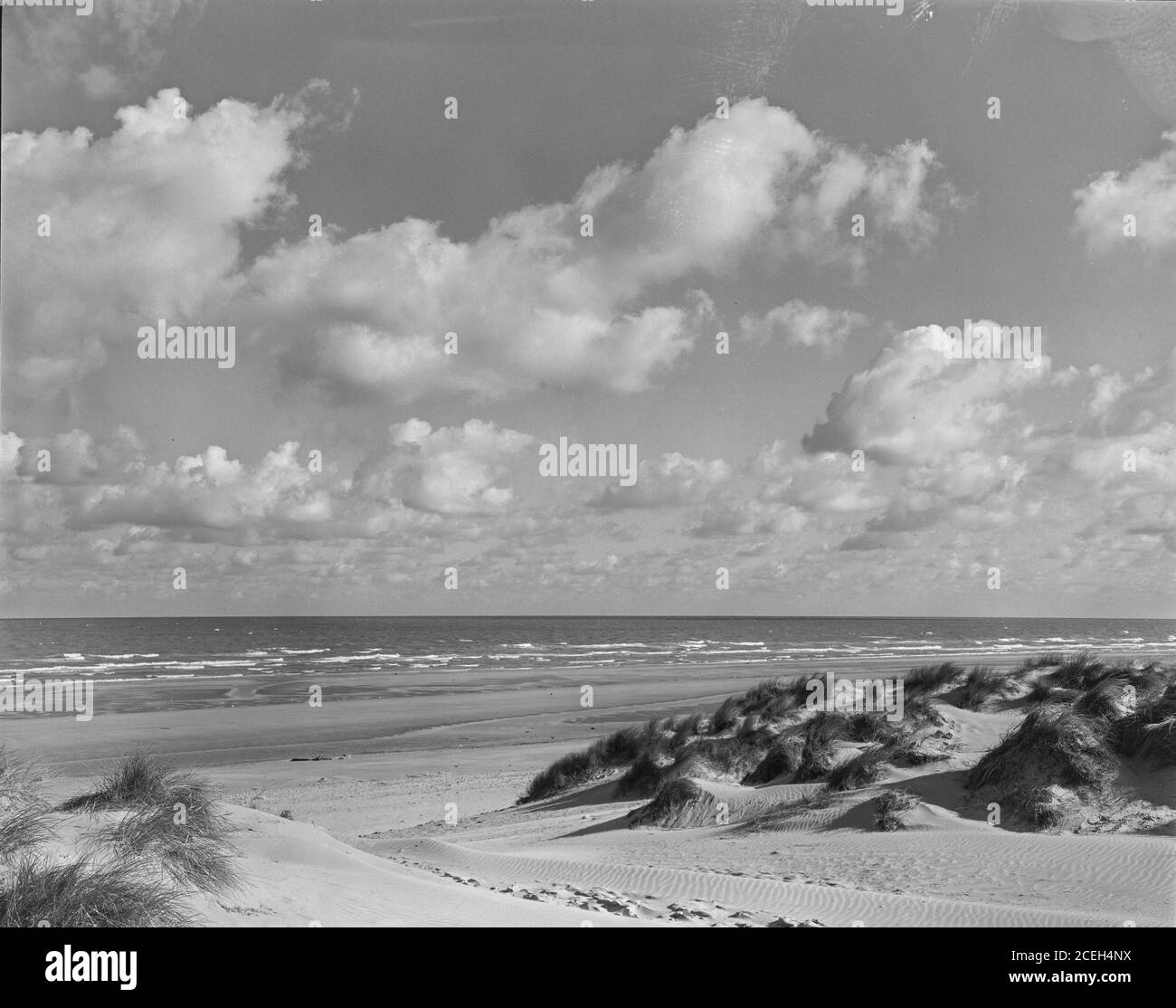 Schwarz und weiß malerische Aussicht auf sandige Küste mit grünem Gras in windigen und bewölkten Tag, Belgien. Stockfoto