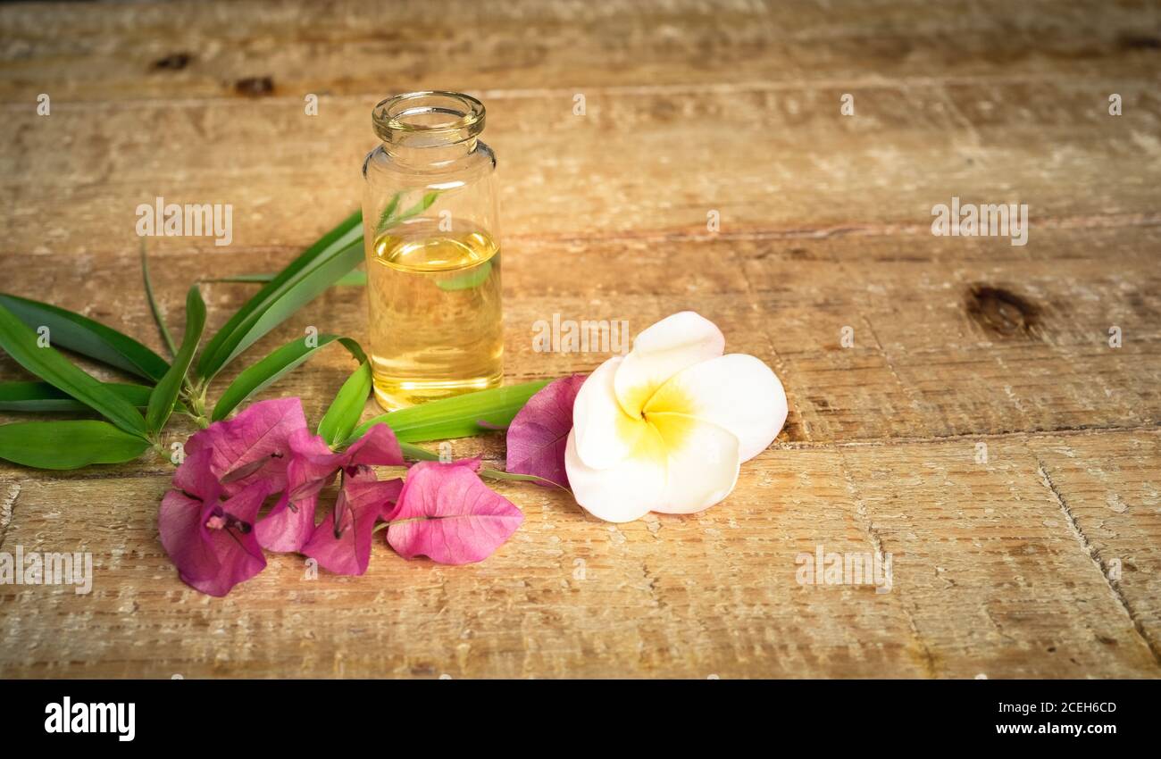 Ätherisches Öl in kleiner Glasflasche mit Bambusblättern, Bougainvillea und Frangipani Blumen auf Holzgrund. Selektiver Fokus mit Kopierbereich für Stockfoto